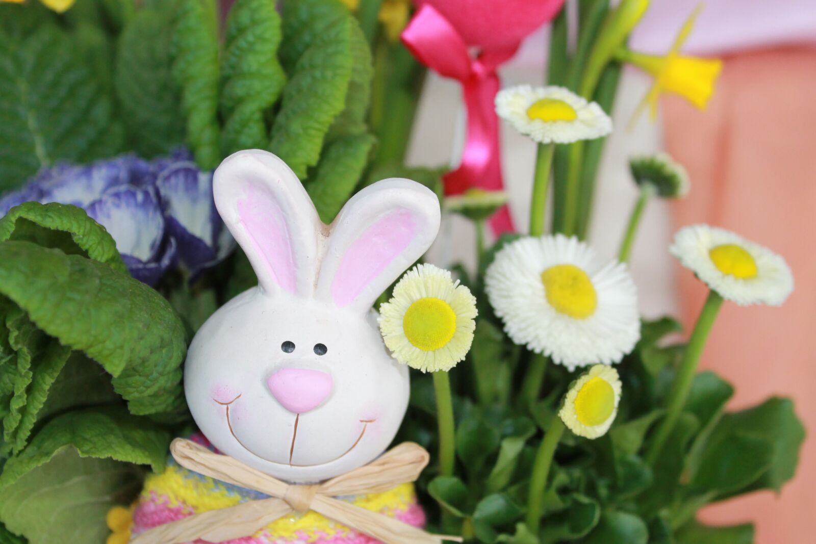 Canon EOS 1100D (EOS Rebel T3 / EOS Kiss X50) sample photo. Hare, spring, flowers photography
