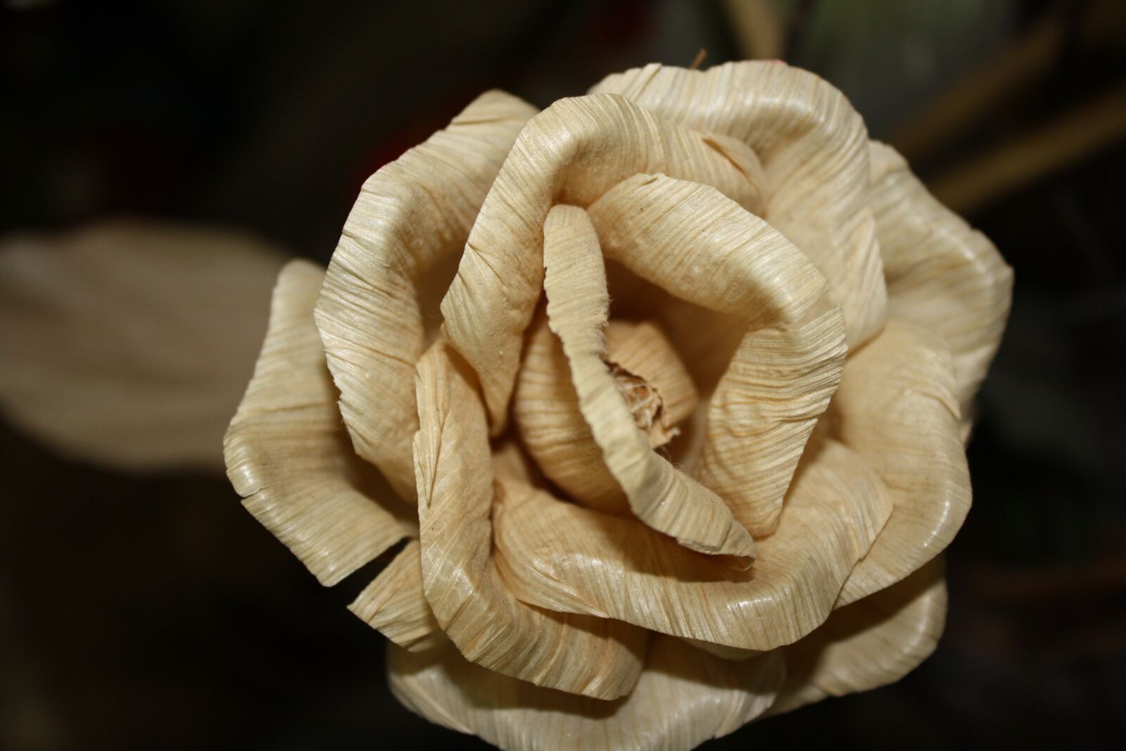 Canon EOS 1000D (EOS Digital Rebel XS / EOS Kiss F) sample photo. Rosa, straw, detail photography