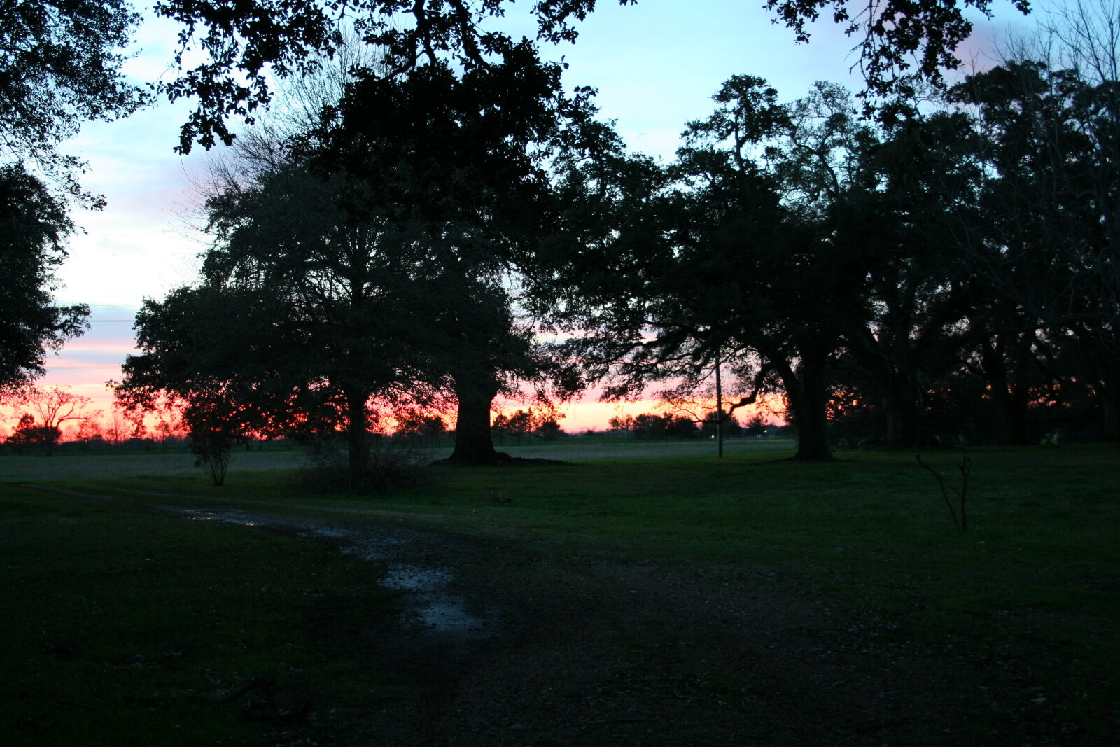 Canon EOS 350D (EOS Digital Rebel XT / EOS Kiss Digital N) sample photo. Louisiana, sunset photography