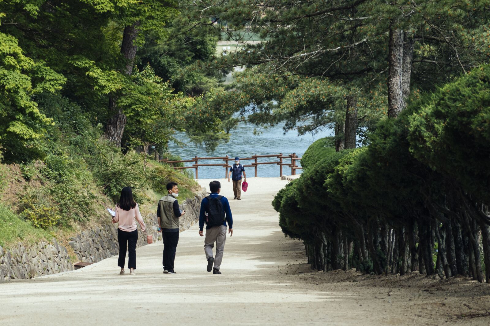 Sony DSC-RX100M7 sample photo. Walk, nature, scenery photography