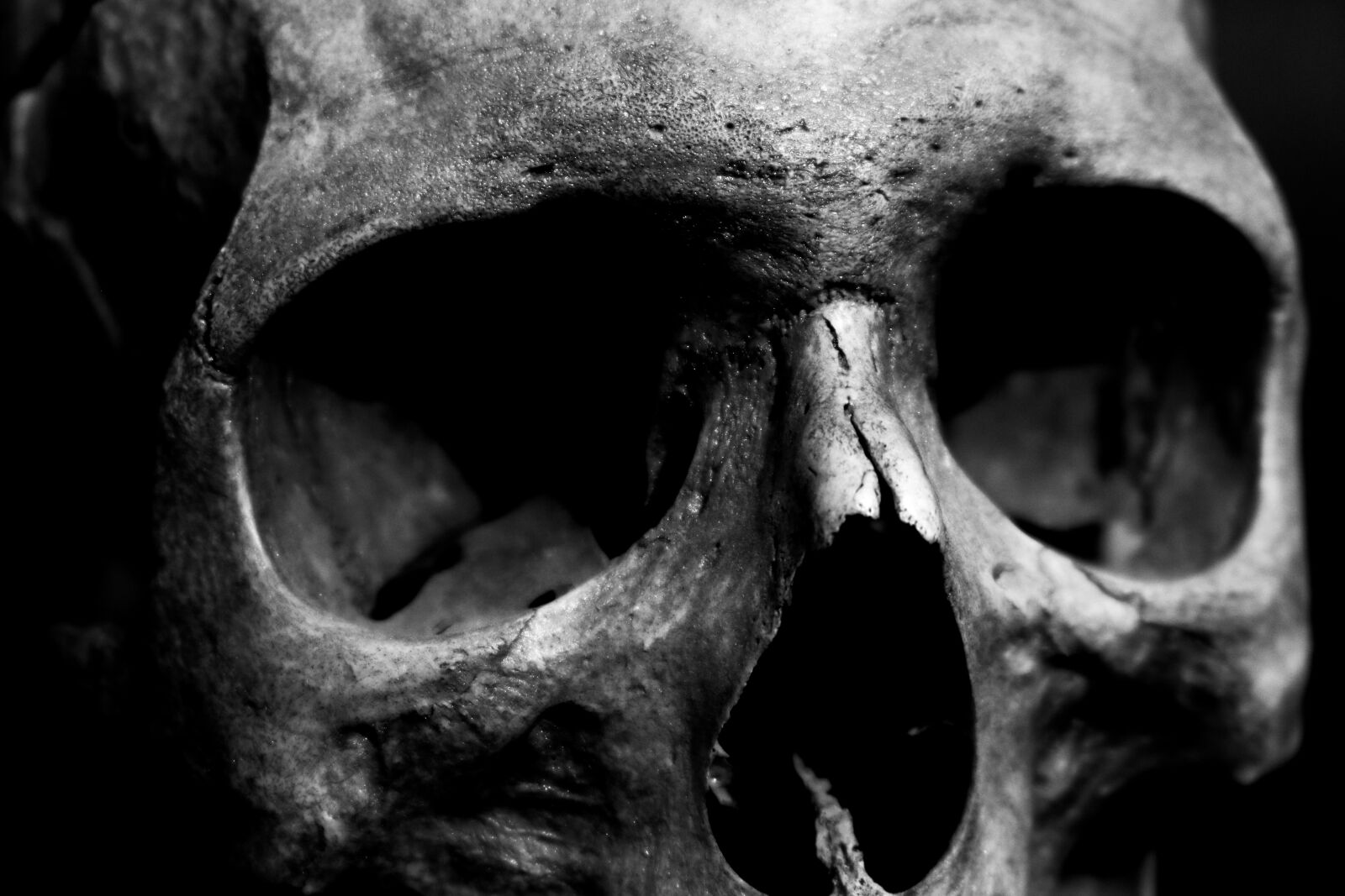 Canon EOS 80D sample photo. Skull, human, scary photography
