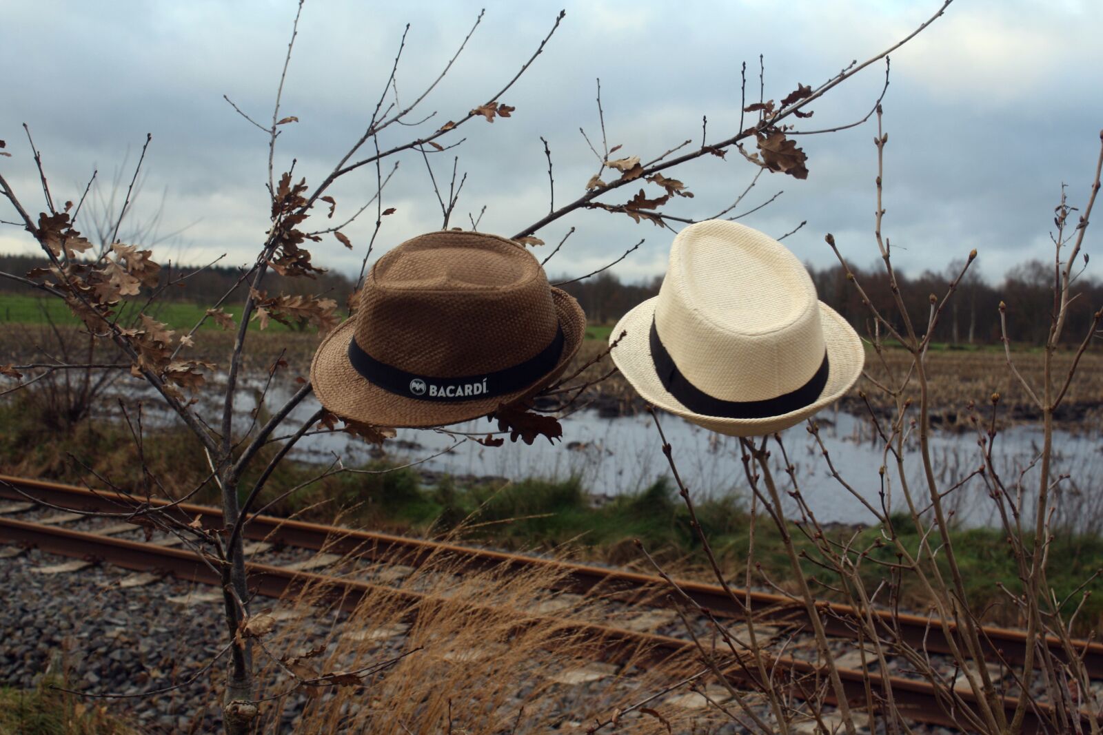 Canon EOS 1000D (EOS Digital Rebel XS / EOS Kiss F) sample photo. Straw hat, moor, teufelsmoor photography