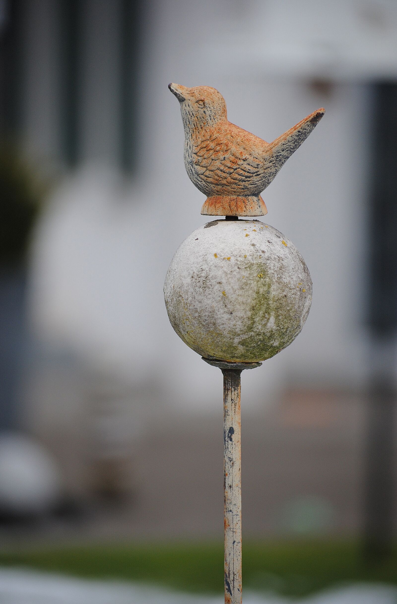 Nikon D3000 sample photo. Garden, decoration, bird photography