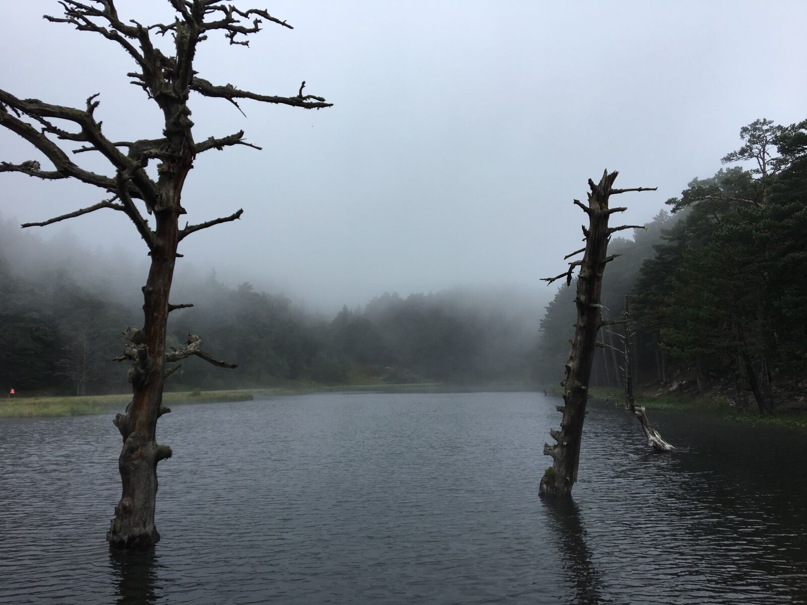 Apple iPhone 6s sample photo. Lake, fog, pond photography