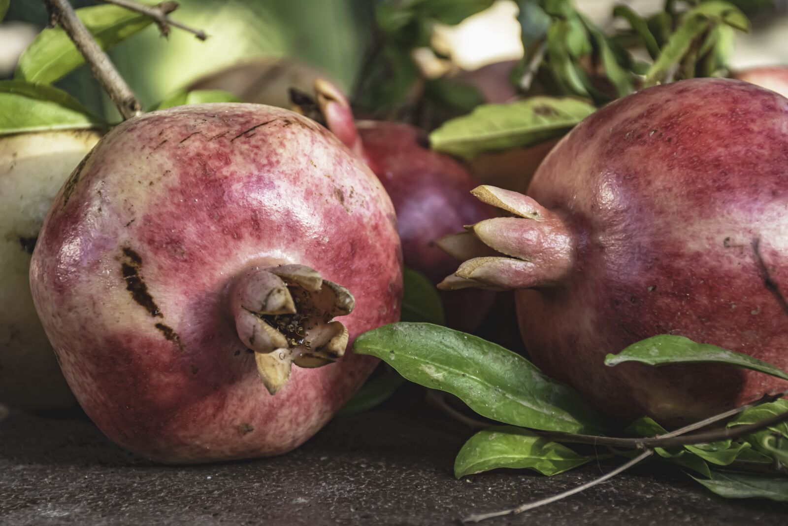 Nikon D5600 sample photo. Conversation, pomegranates, three photography