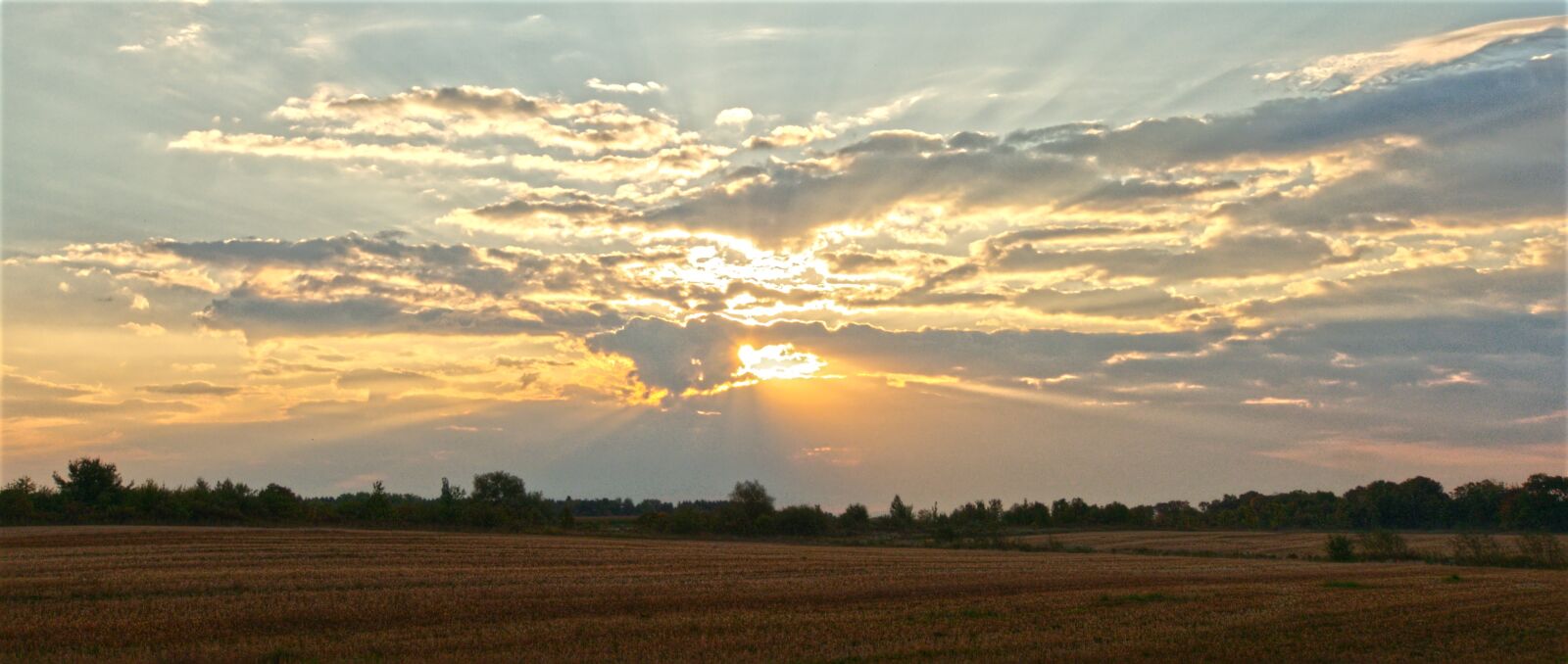 OLYMPUS M.9-18mm F4.0-5.6 sample photo. Sunrise, sun, sky photography
