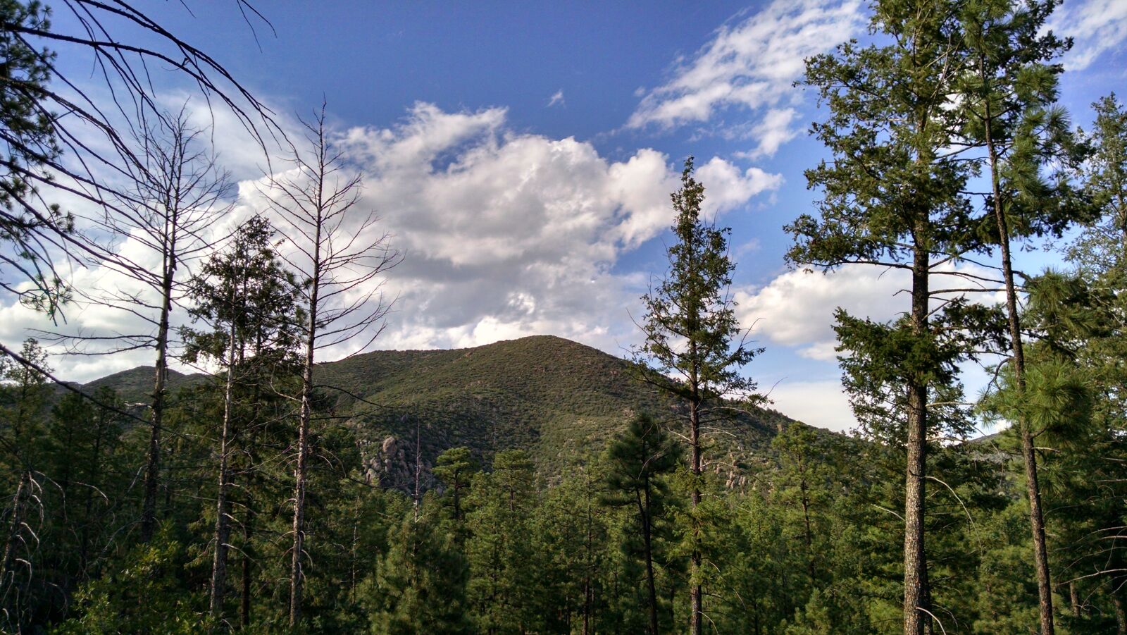 Motorola XT1080 sample photo
