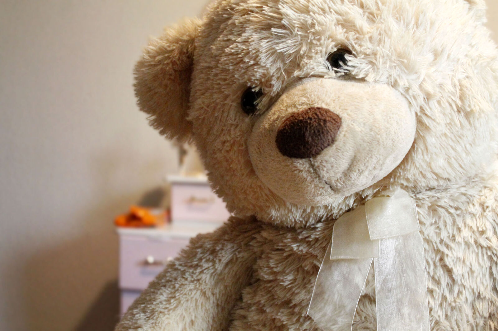 Canon EOS 1100D (EOS Rebel T3 / EOS Kiss X50) sample photo. Teddy, bear, toy, bear photography