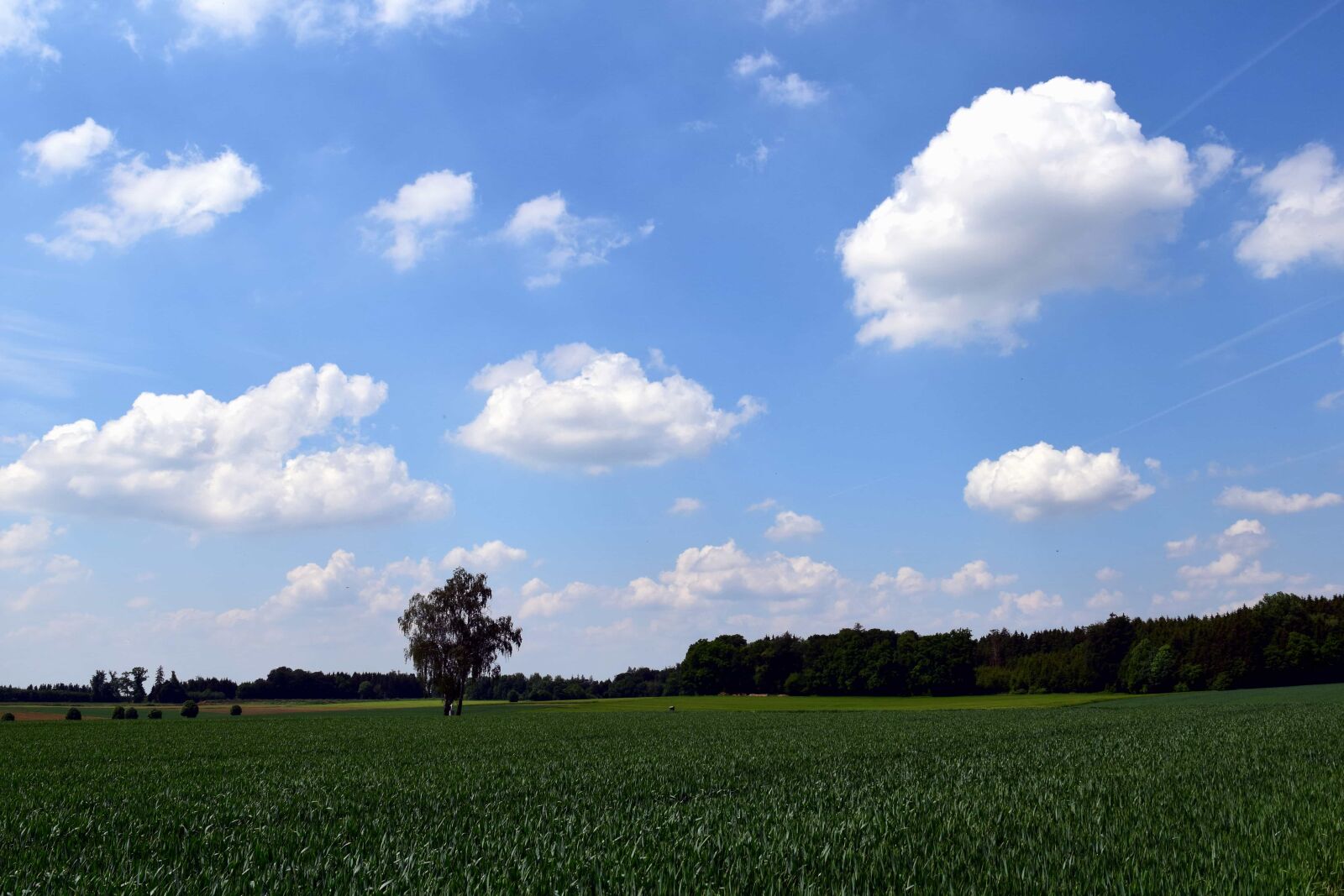 Nikon D3300 sample photo. Farm, landscape, blue sky photography
