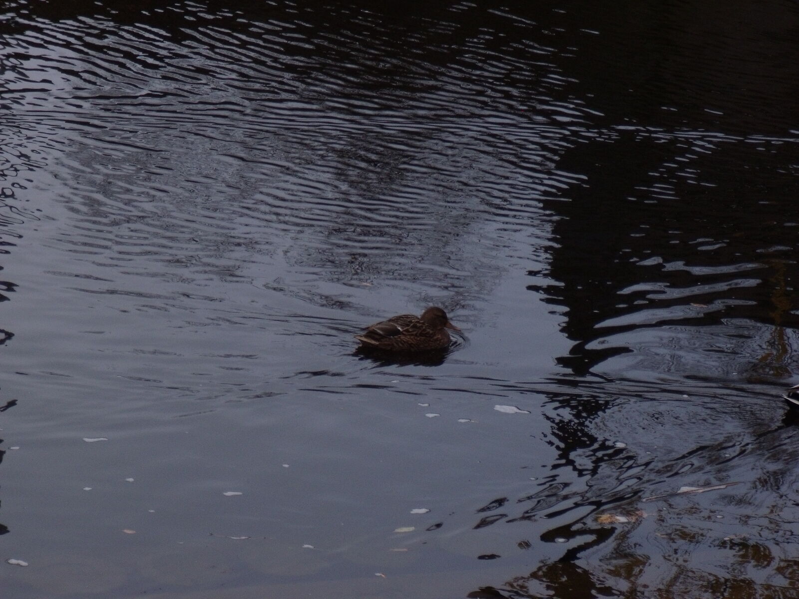 Fujifilm FinePix J120 sample photo