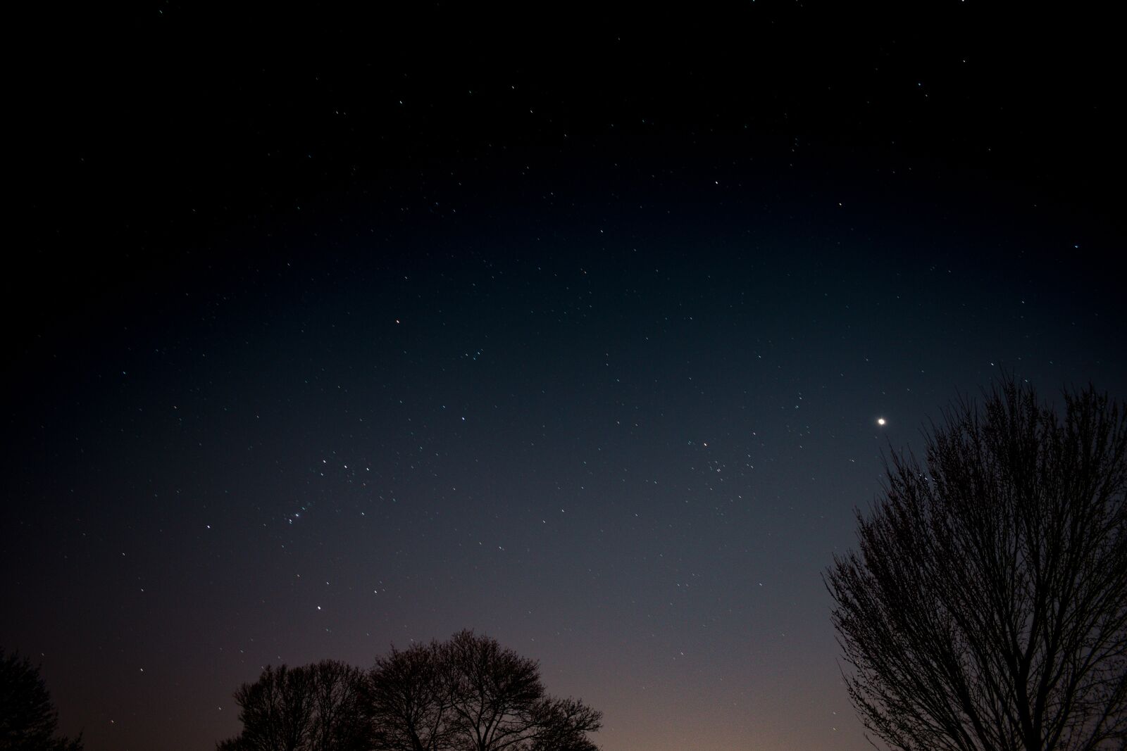 Nikon D5600 sample photo. Stars, sky, galaxy photography