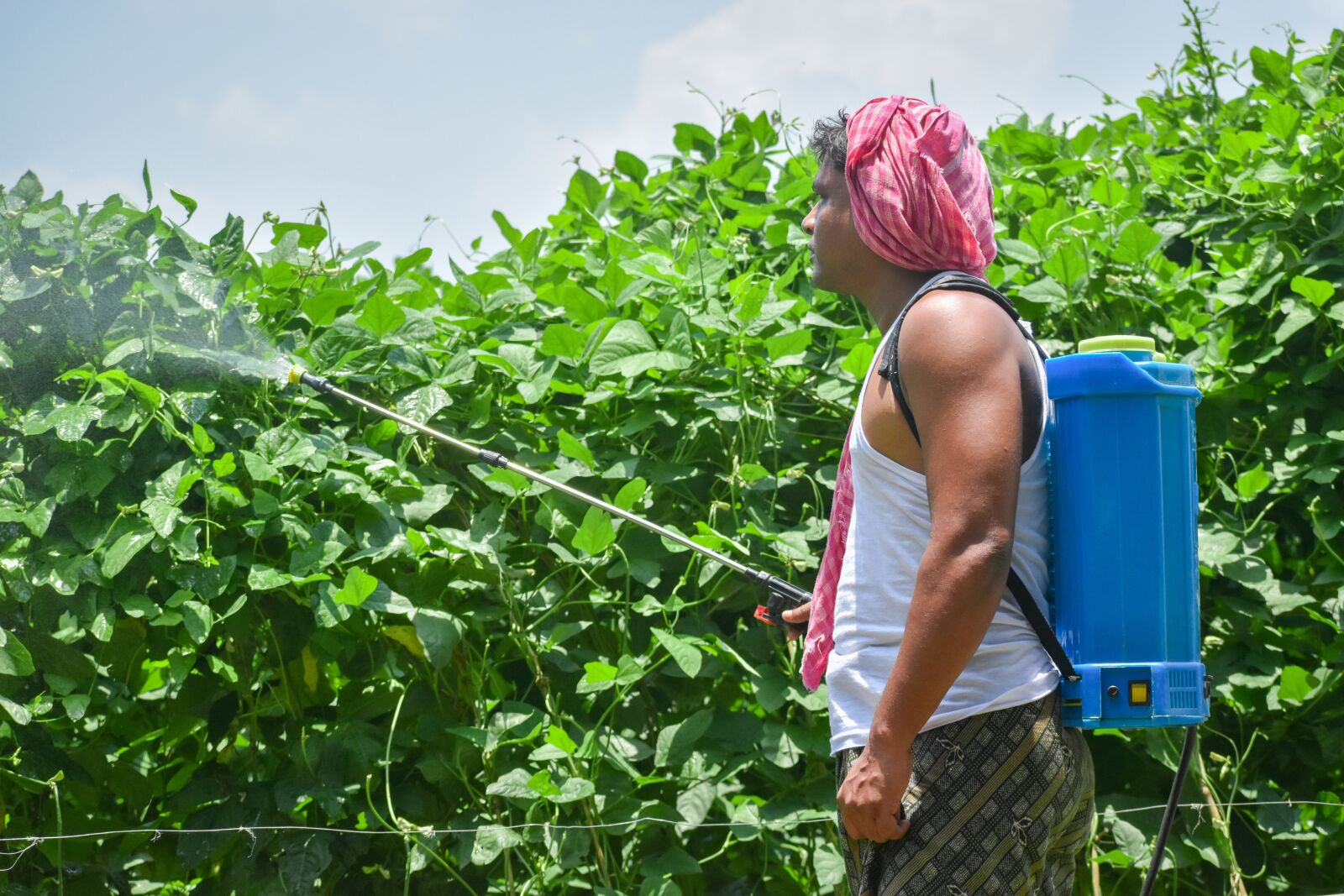 Nikon D3500 sample photo. Farmer, field, pesticide photography