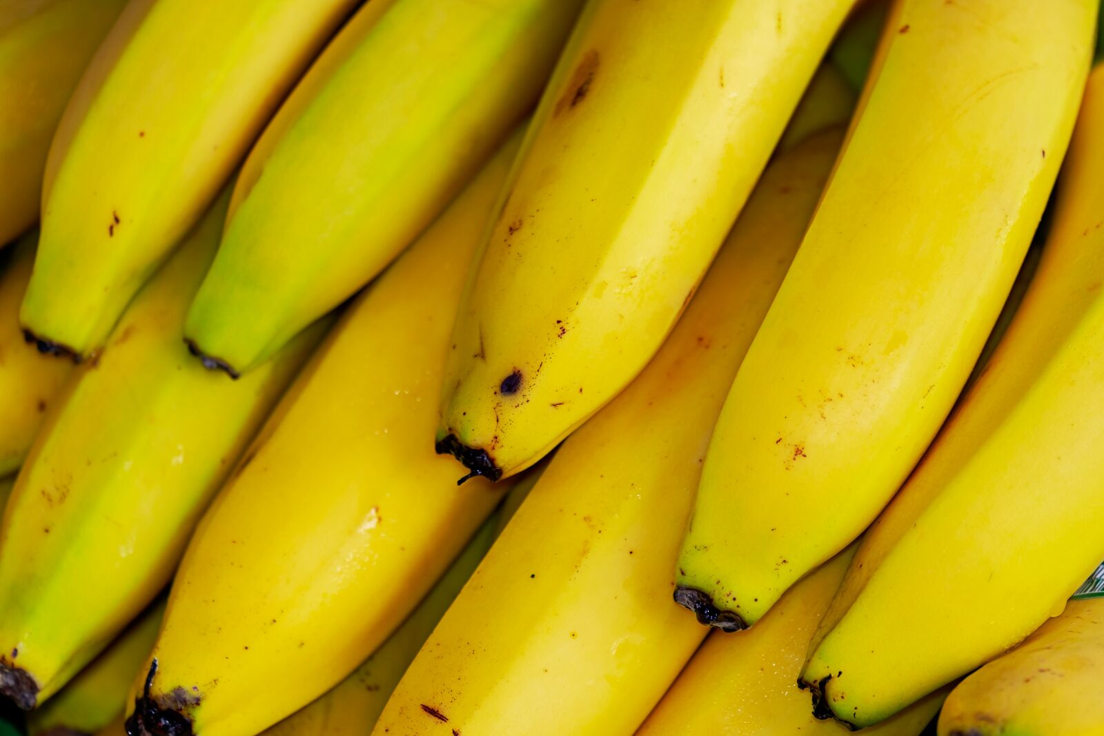 Fujifilm XF 55-200mm F3.5-4.8 R LM OIS sample photo. Bananas, tropical fruits, fruit photography