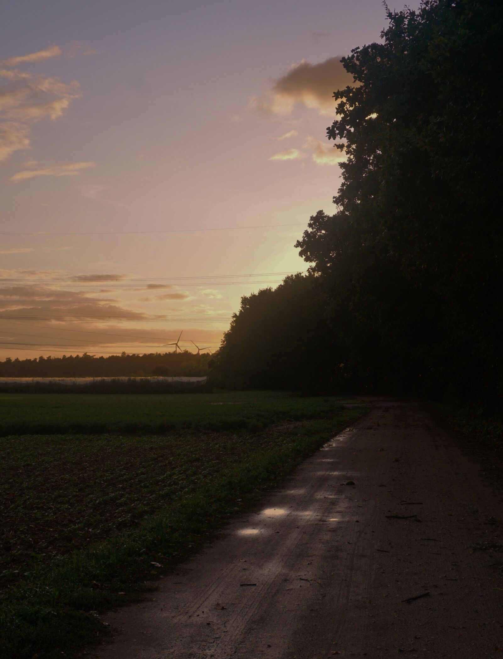 Sony a6000 sample photo. Away, wet, nature photography