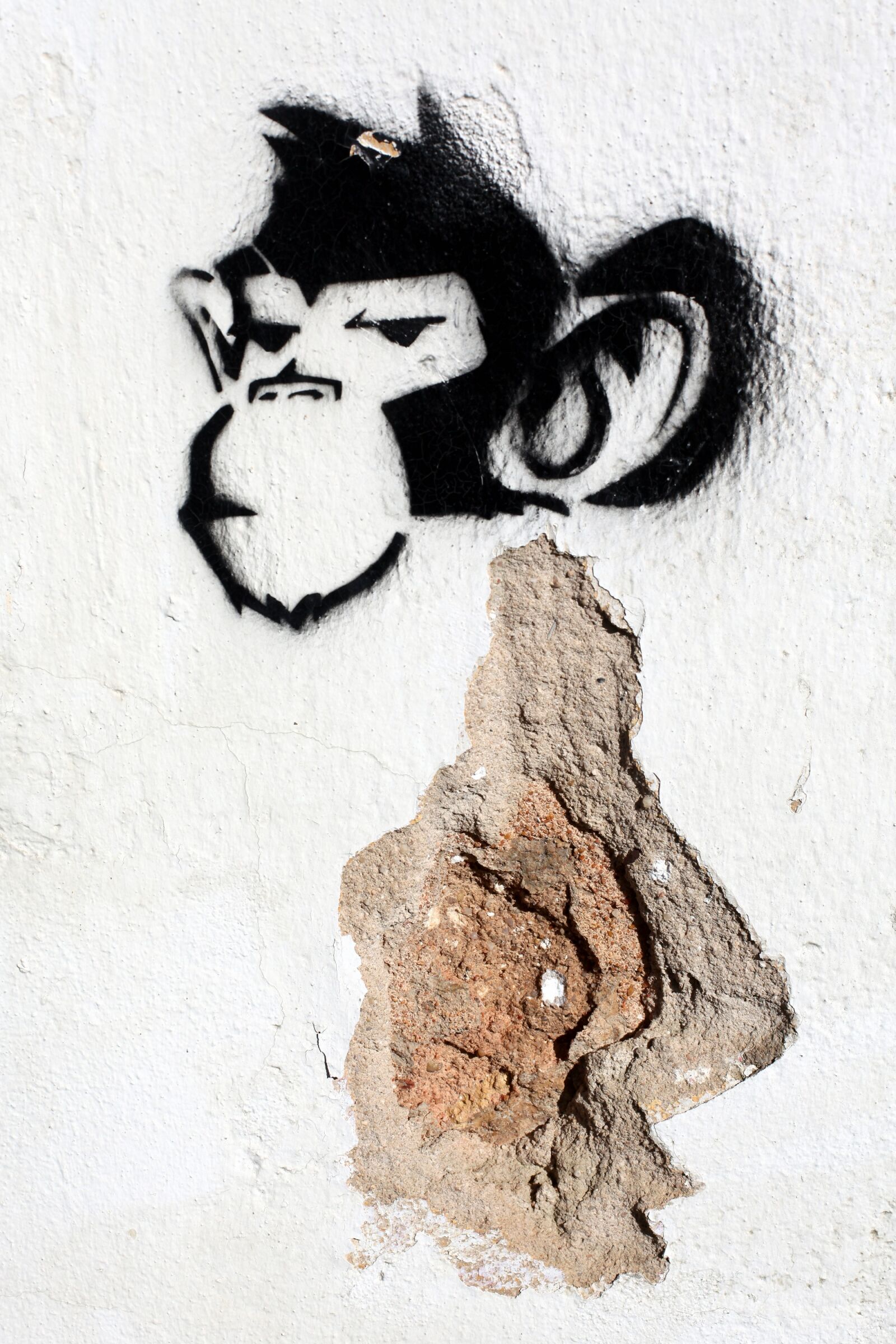Canon EOS 5D Mark II sample photo. Monkey, stencil, theme, street photography