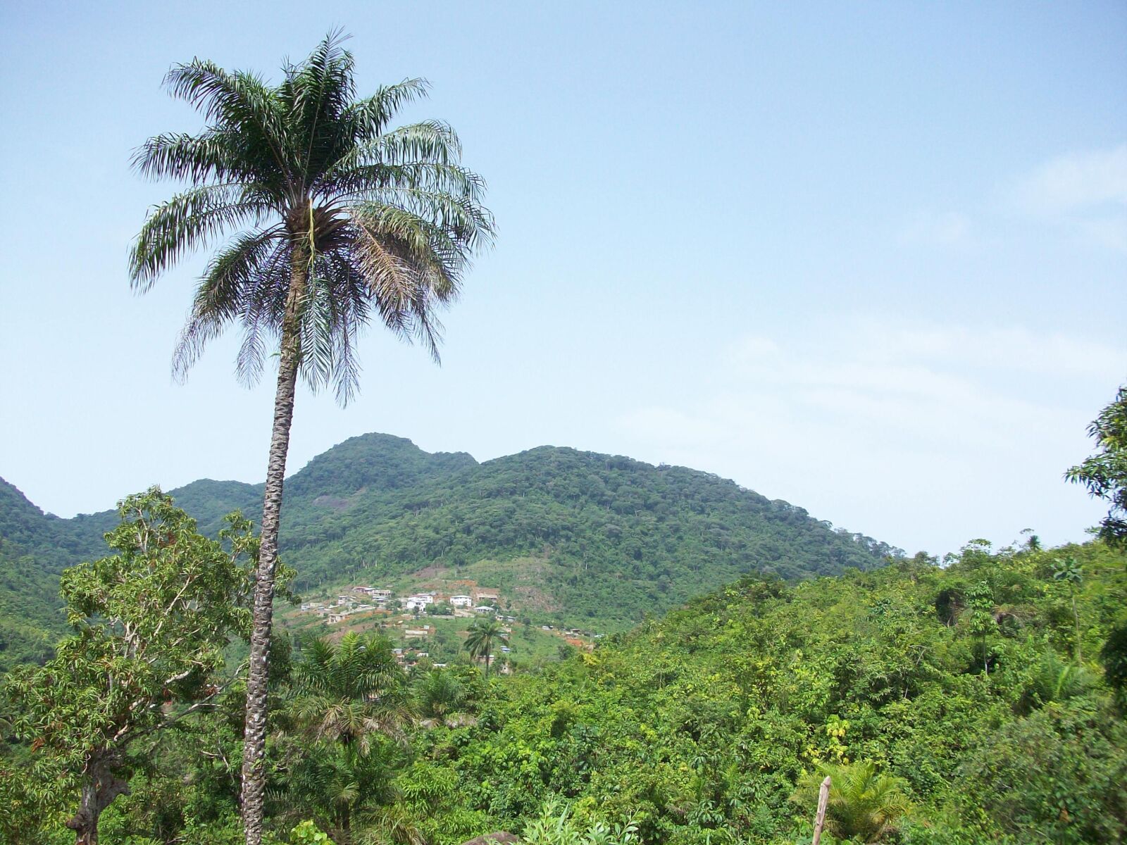 Kodak EASYSHARE M763 DIGITAL CAMERA sample photo. Mission, tropical, missionary photography