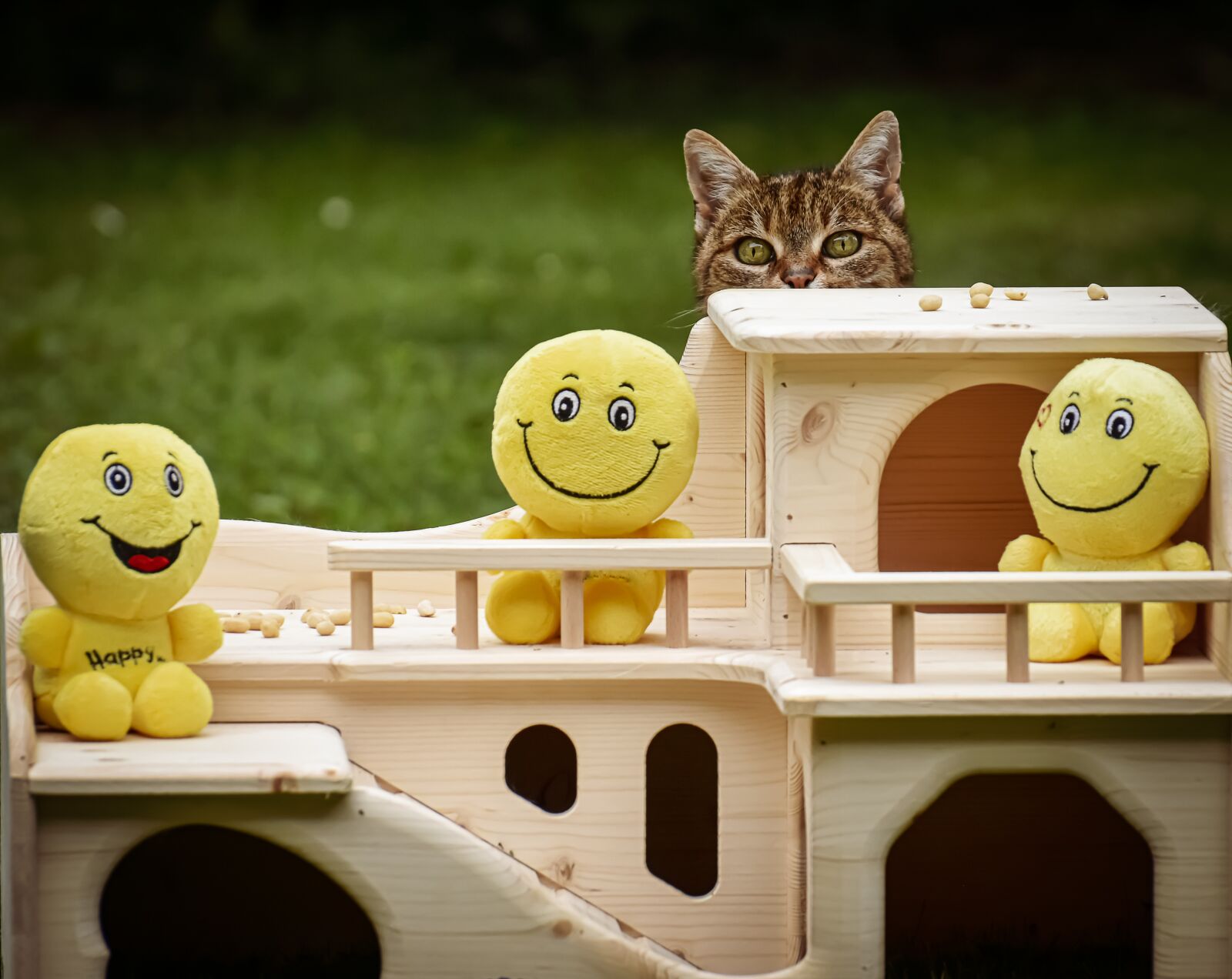 Nikon D7200 sample photo. Woodhouse, cat, curious photography