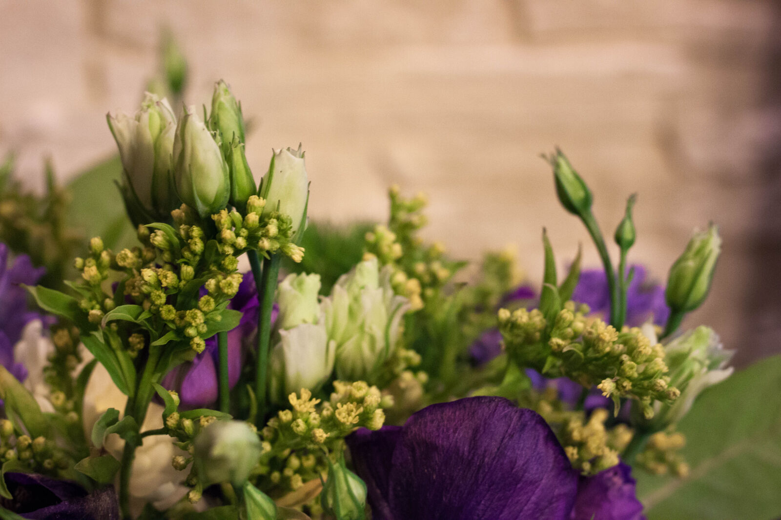 Canon EOS 500D (EOS Rebel T1i / EOS Kiss X3) + Canon EF 50mm F1.8 STM sample photo. Buquet, flowers, purple, yellow photography
