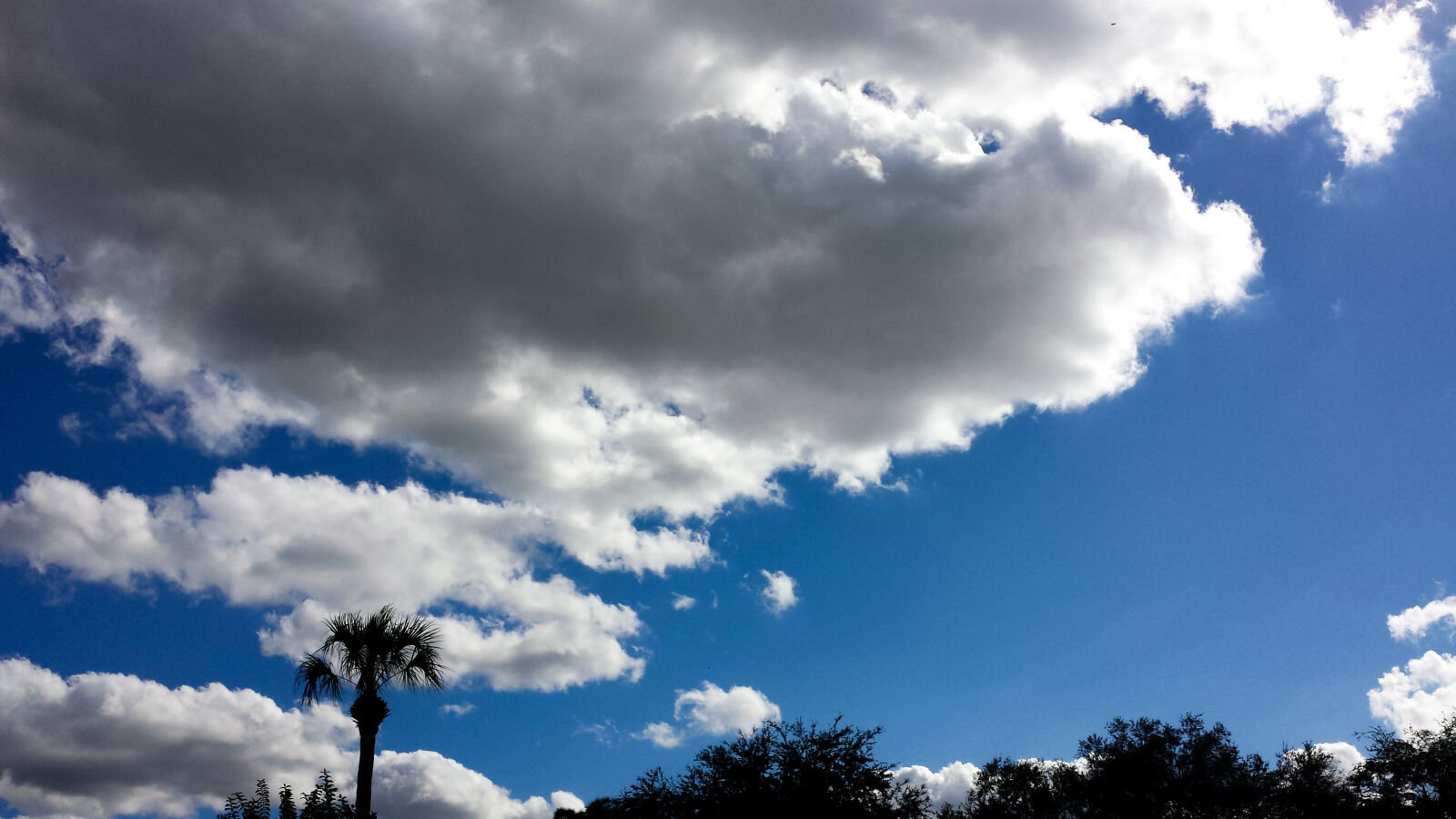 Samsung Galaxy S4 sample photo. Blue, blue, sky, cloudy photography