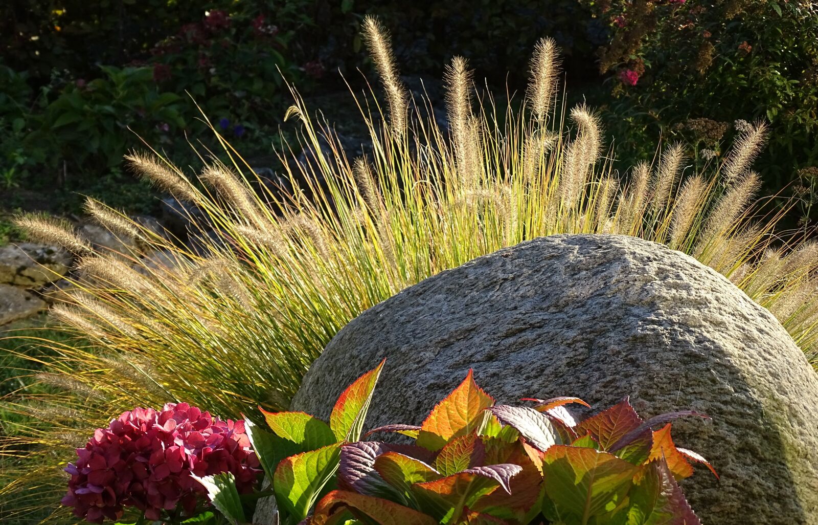 Sony Cyber-shot DSC-HX400V sample photo. Stone, backlighting, autumn photography