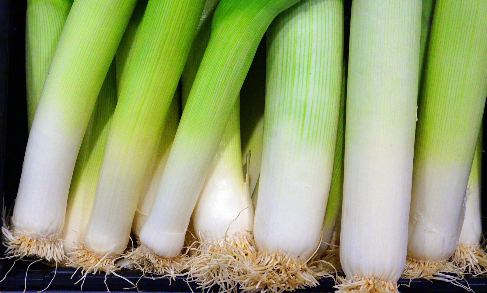 Sony E 16-50mm F3.5-5.6 PZ OSS sample photo. Leek, vegetables, fresh photography