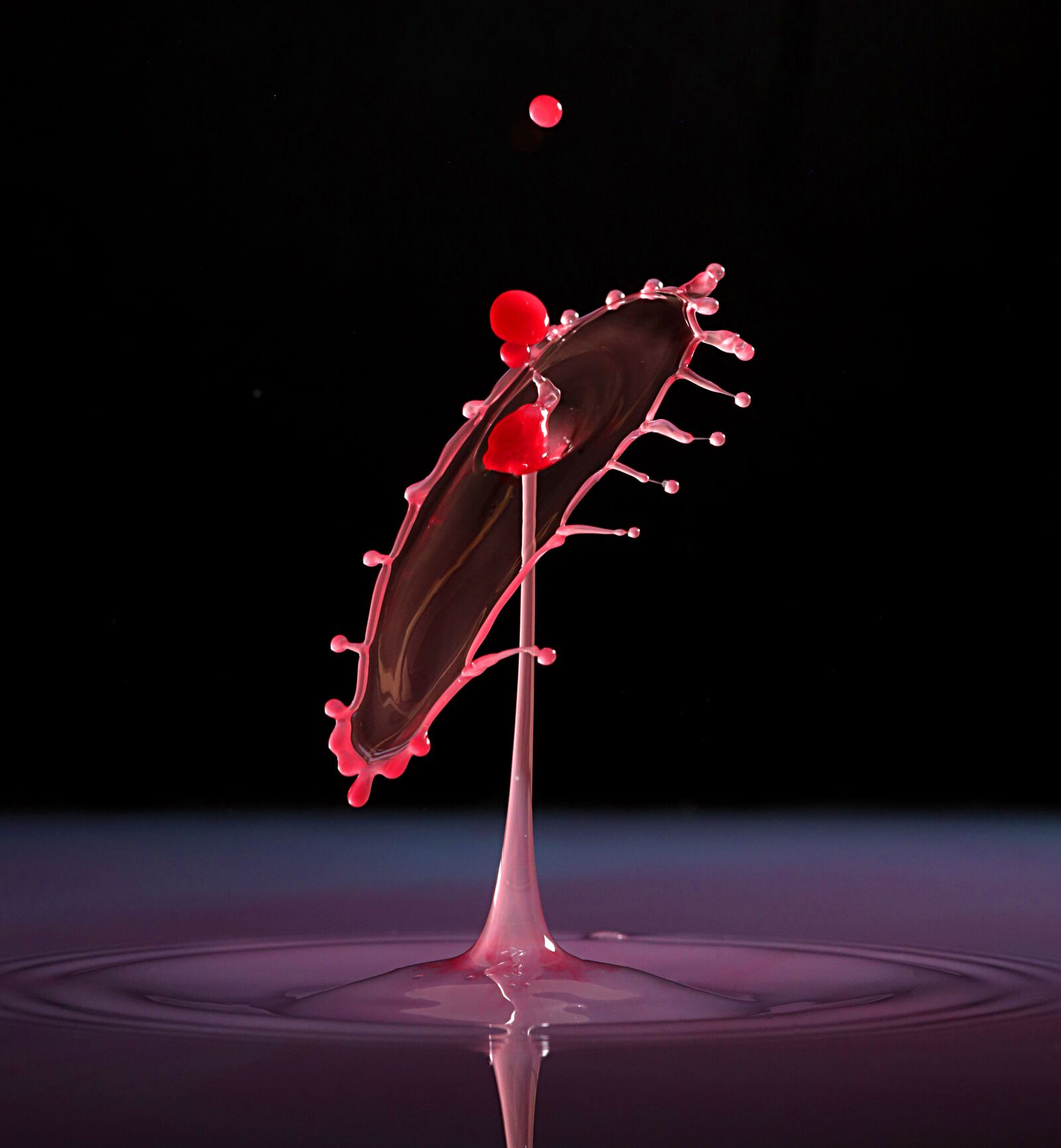 Canon EOS R sample photo. Water drop, droplets, red photography