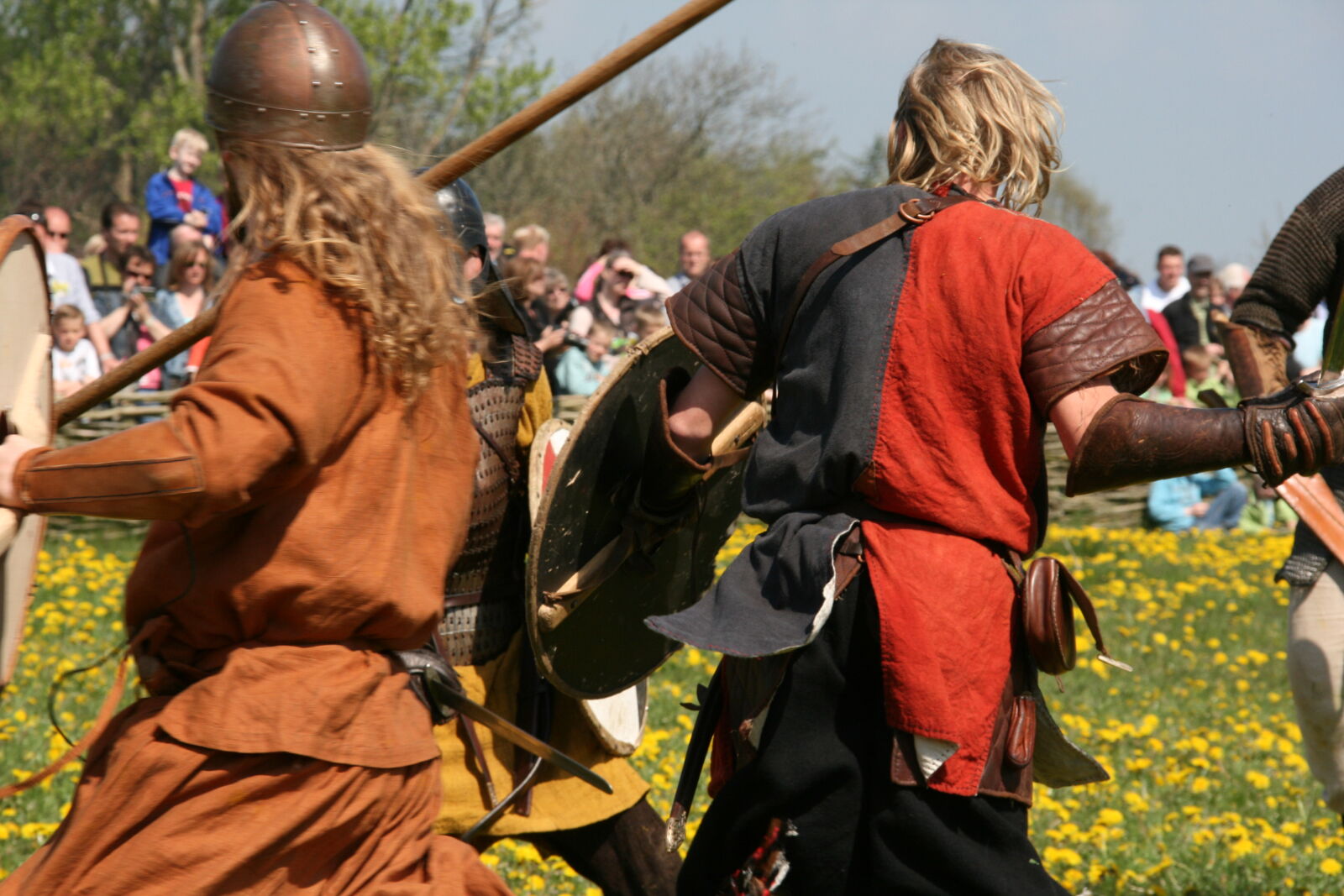 Sigma 18-200mm f/3.5-6.3 DC OS sample photo. Vikings photography