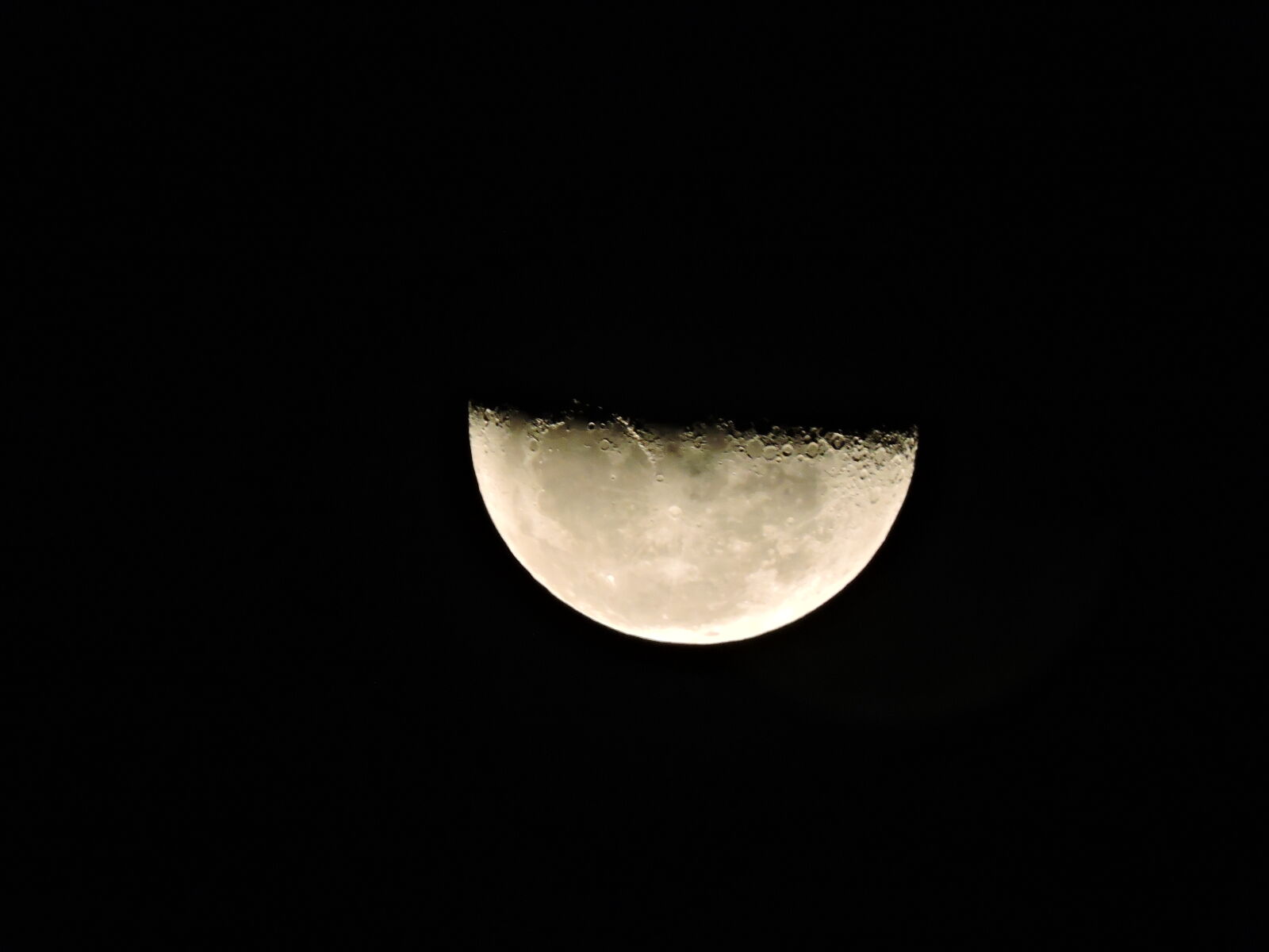 Nikon Coolpix P600 sample photo