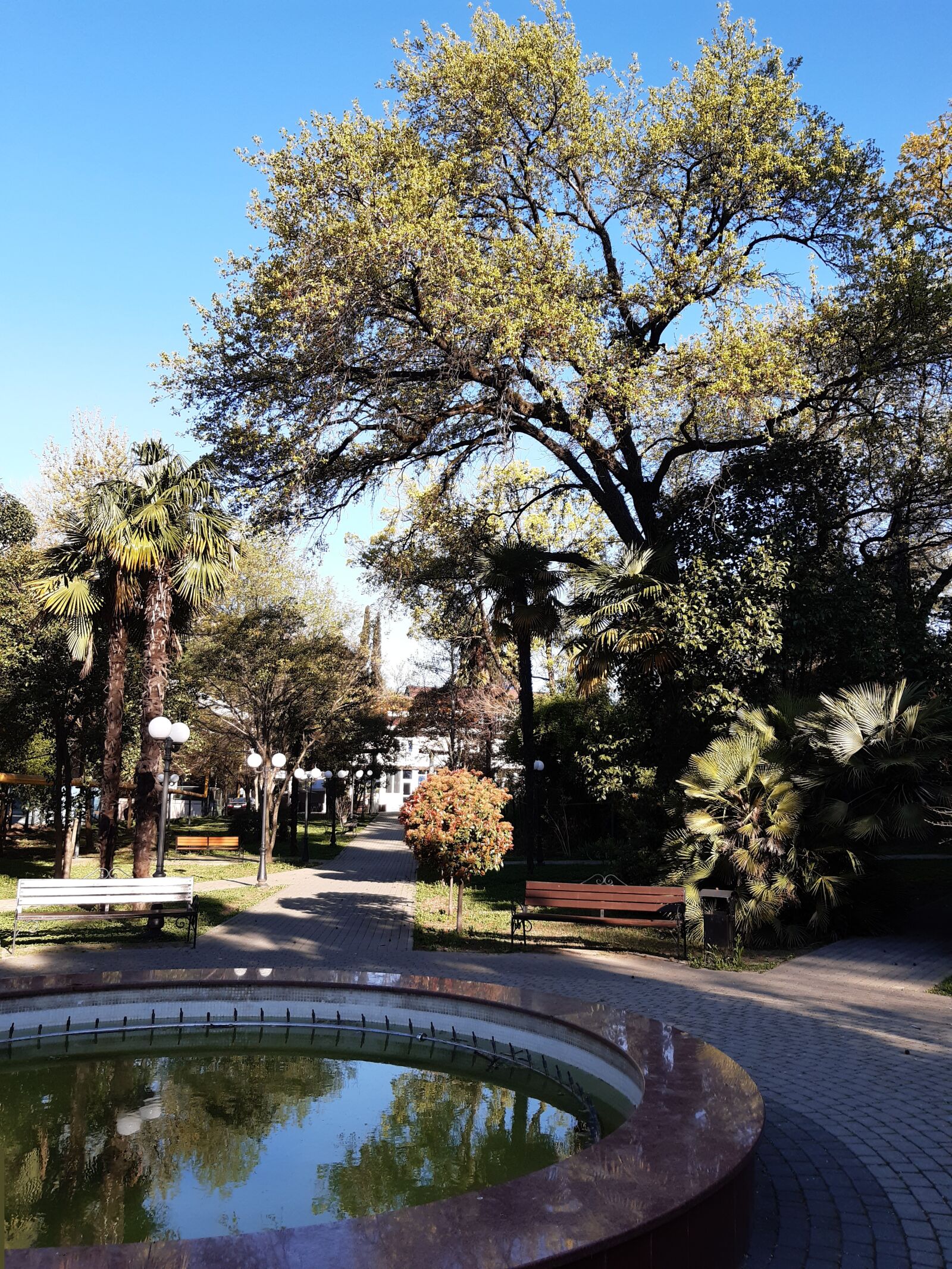 Samsung Galaxy A30 sample photo. Fountain, trees, park photography