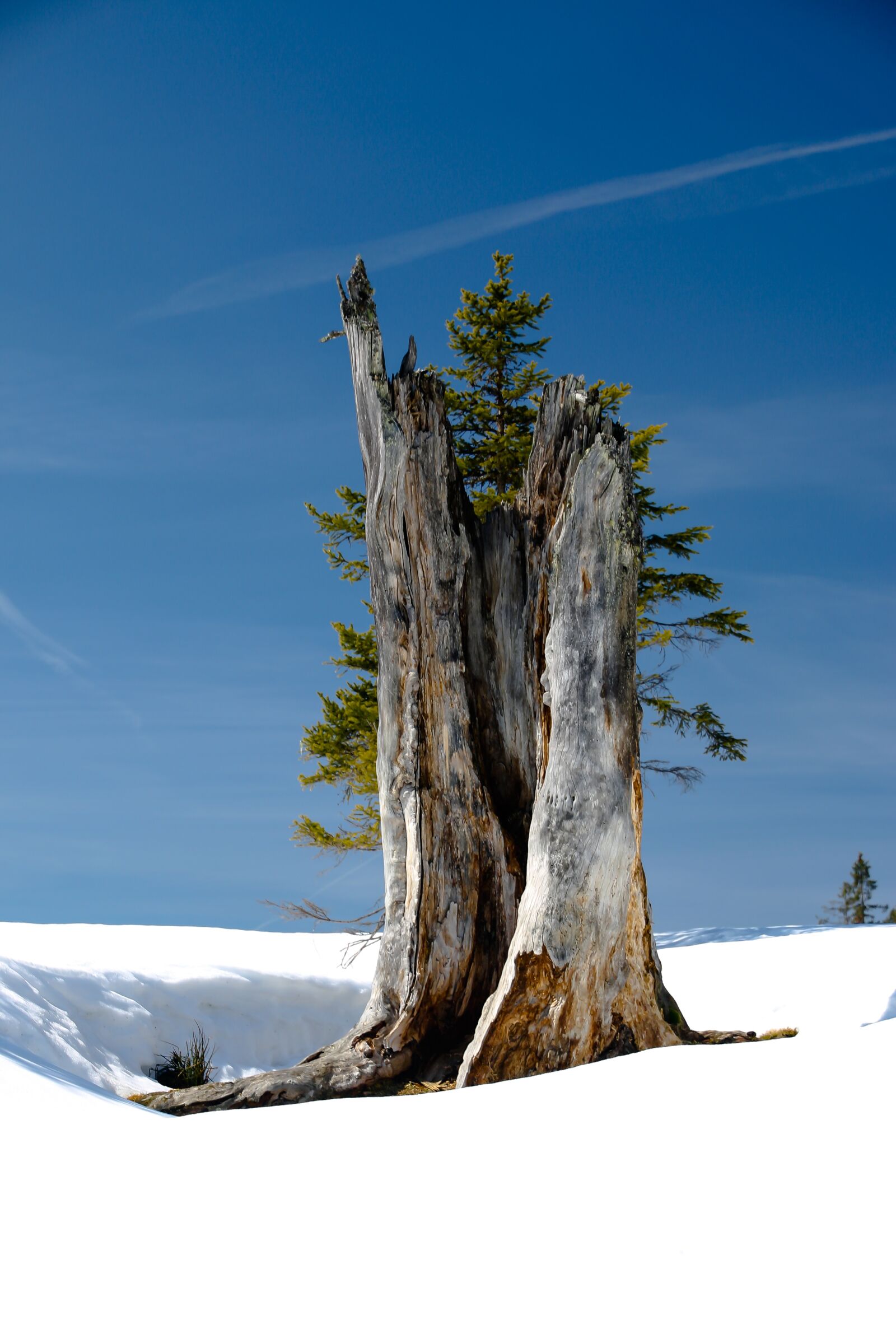 Canon EOS 70D sample photo. Winter, snow, wintry photography