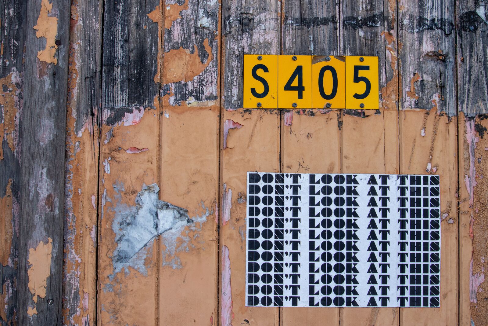 Canon EOS 200D (EOS Rebel SL2 / EOS Kiss X9) sample photo. Wooden, wall, sign photography