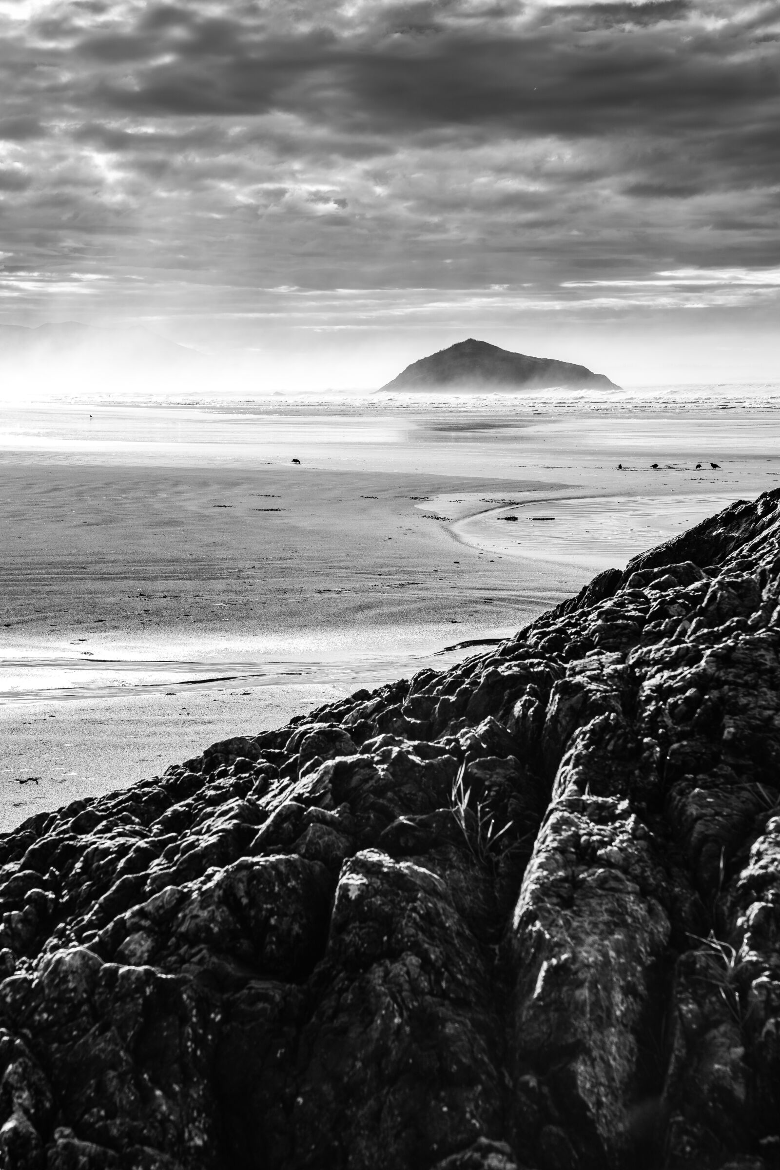 Sony FE 24-105mm F4 G OSS sample photo. Beach, tofino, vancouver island photography