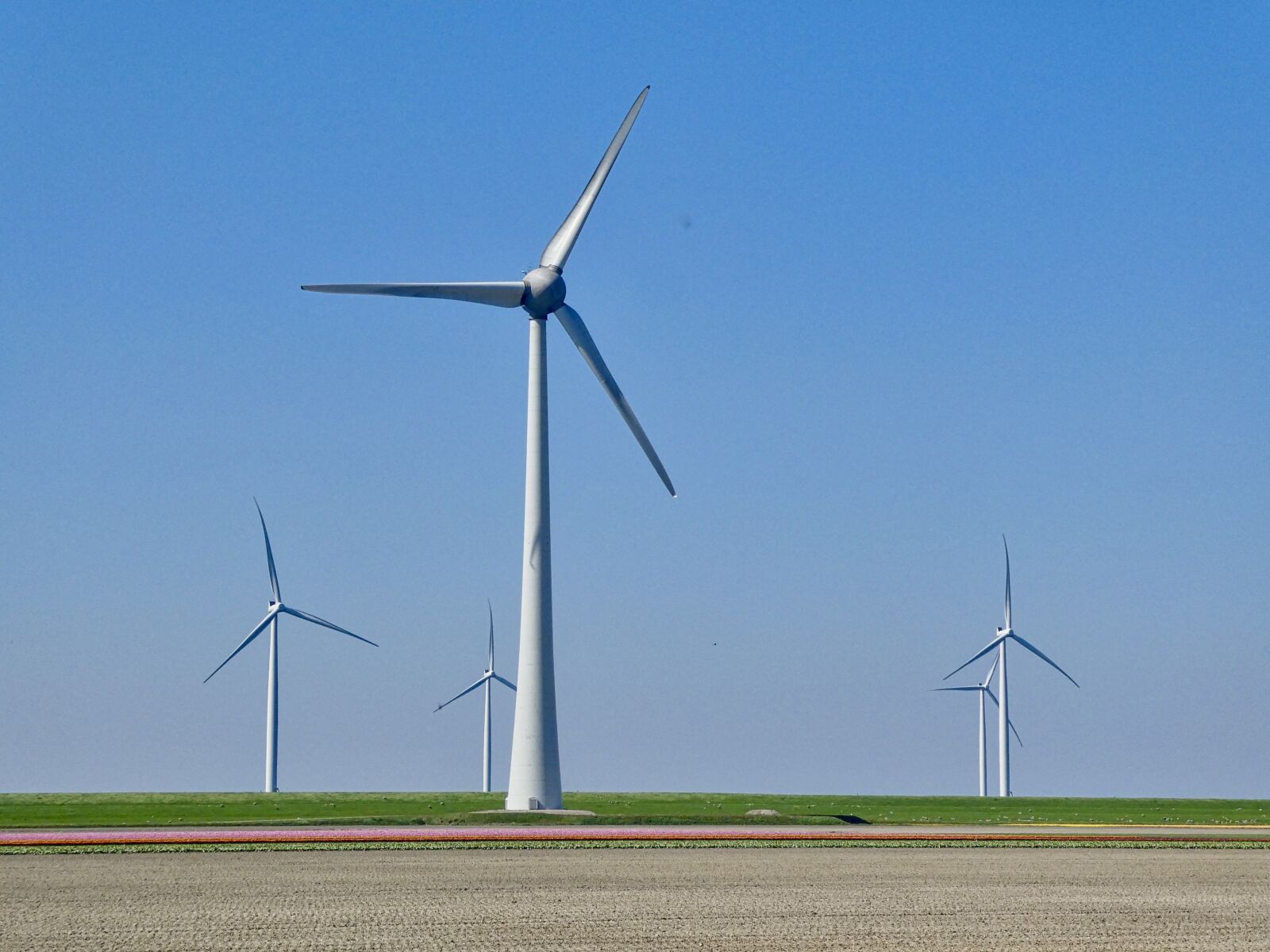 Panasonic Lumix DC-ZS70 (Lumix DC-TZ90) sample photo. Windmill, power, windy photography