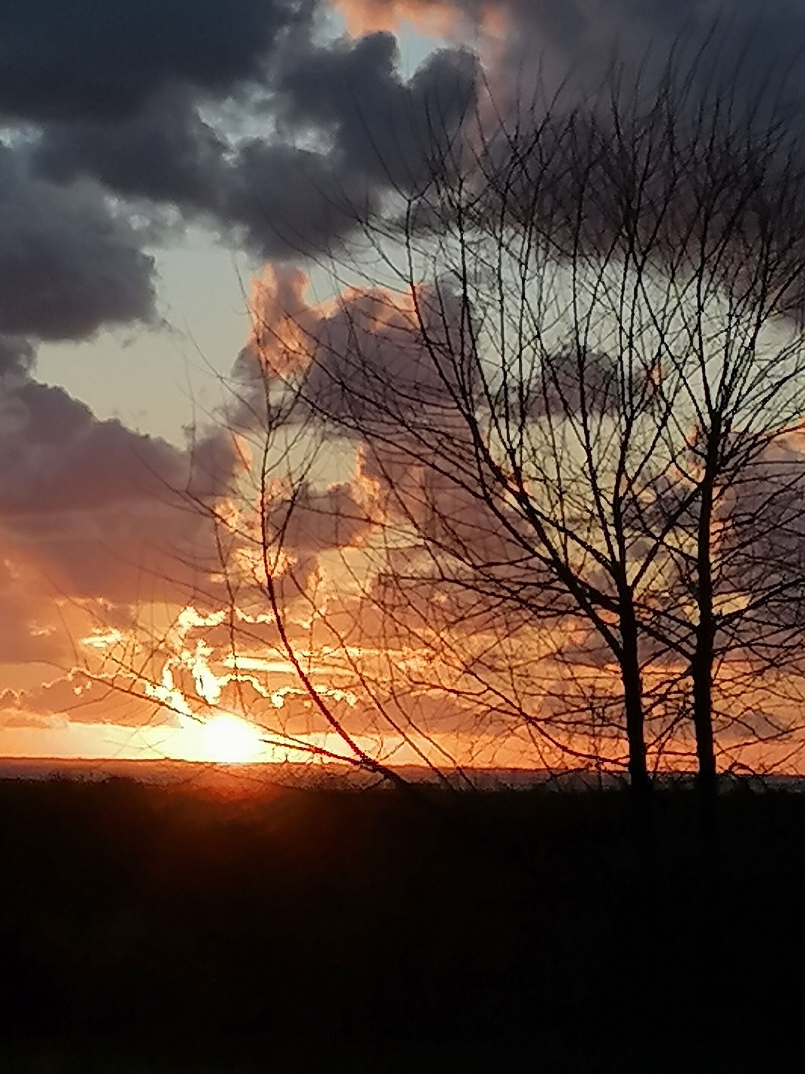 HUAWEI P30 LITE sample photo. Sunset, tree, abendstimmung photography