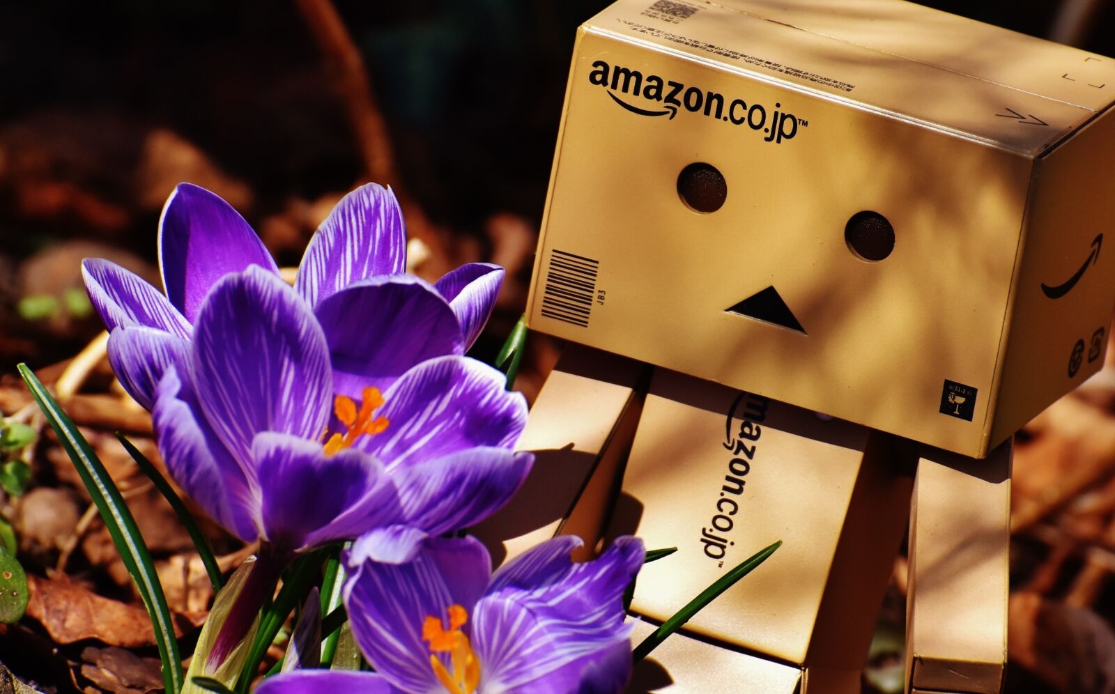 Nikon D7200 sample photo. Figure, spring greetings, danbo photography