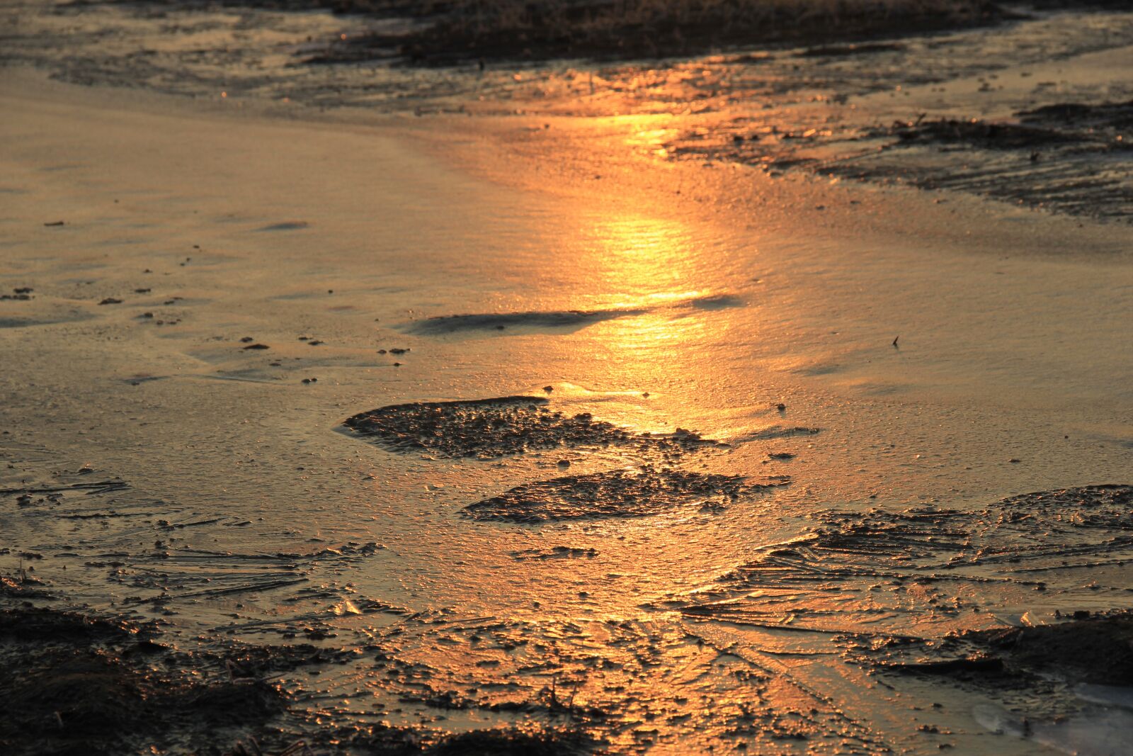 Canon EOS 550D (EOS Rebel T2i / EOS Kiss X4) sample photo. Ice, dawn, earth photography