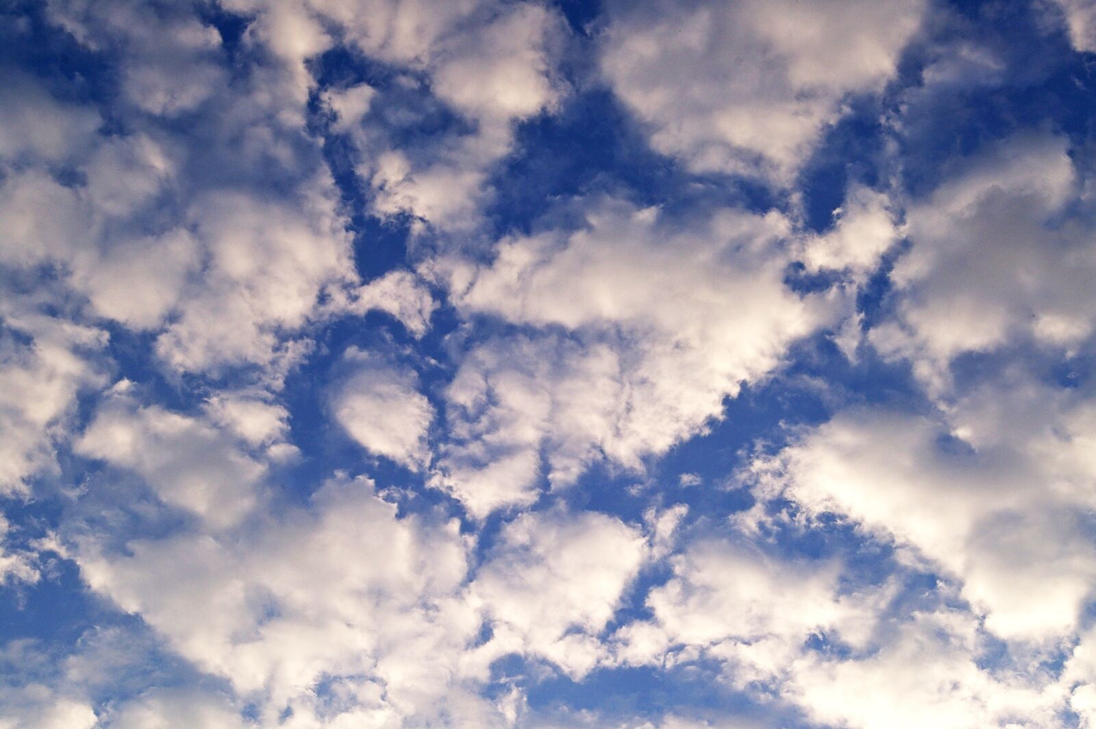 Pentax *ist DL2 sample photo. White clouds, blue sky photography