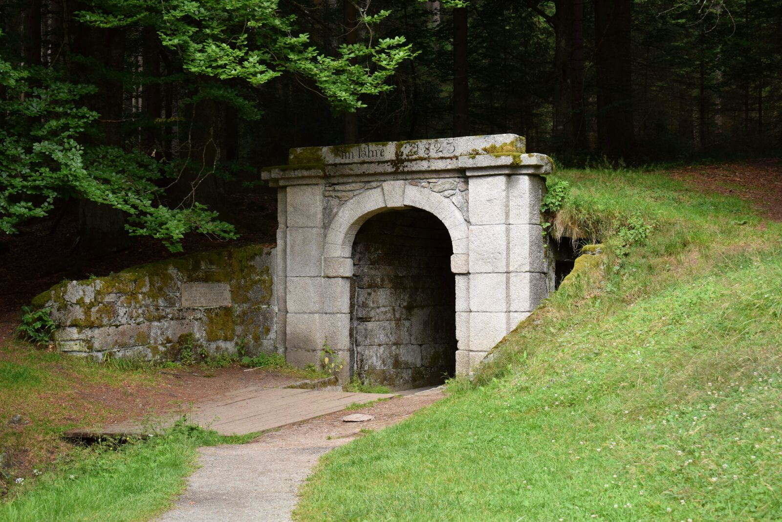 Nikon D3300 sample photo. Portal, grass, landscape photography
