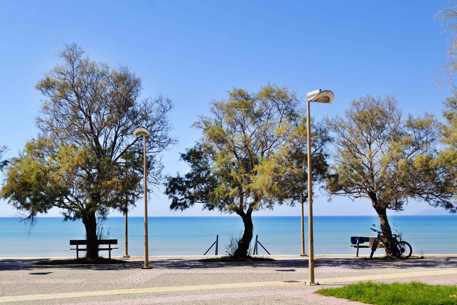 Nikon D3100 sample photo. Beautiful landscape, seascape, trees photography