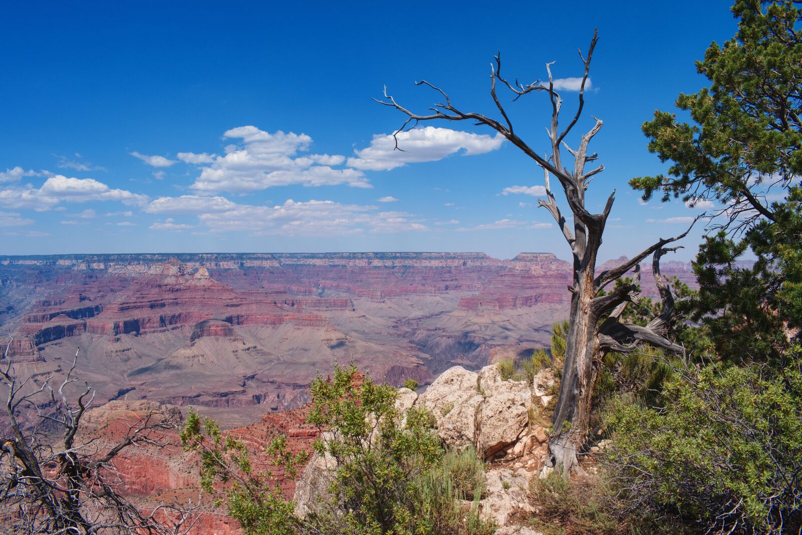 Nikon D5300 sample photo. Grand canyon, landscape, mountains photography