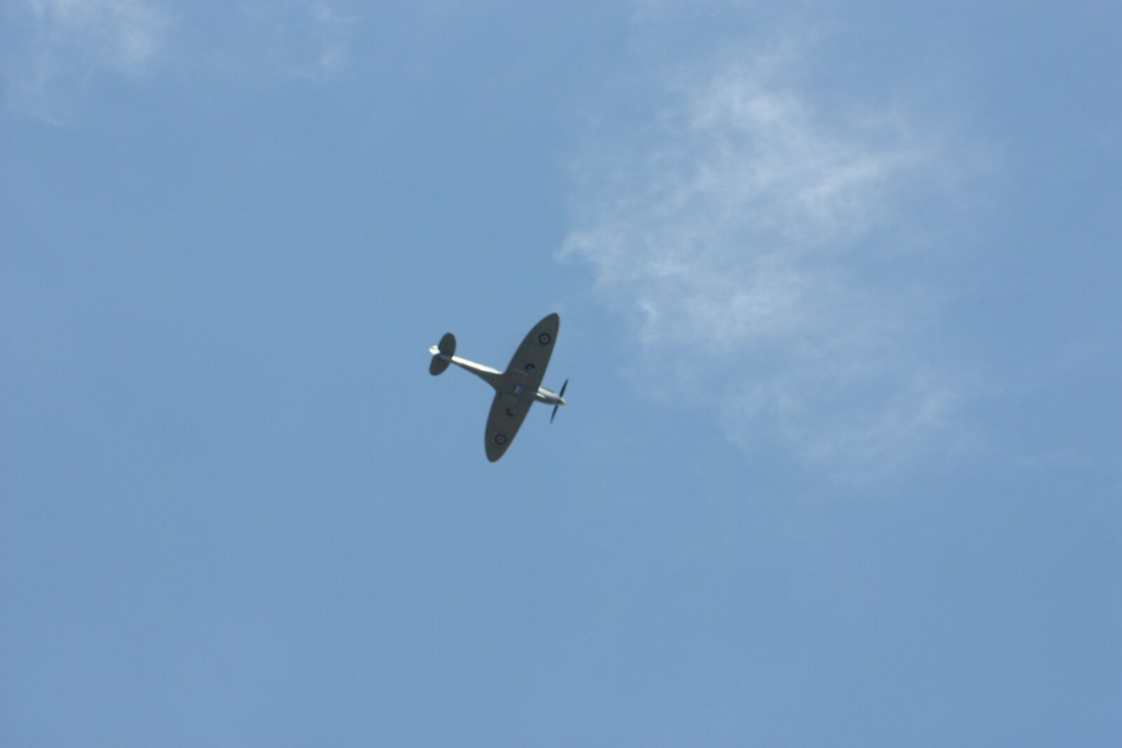 Canon EOS 450D (EOS Rebel XSi / EOS Kiss X2) sample photo. Ve day, plane, closeup photography
