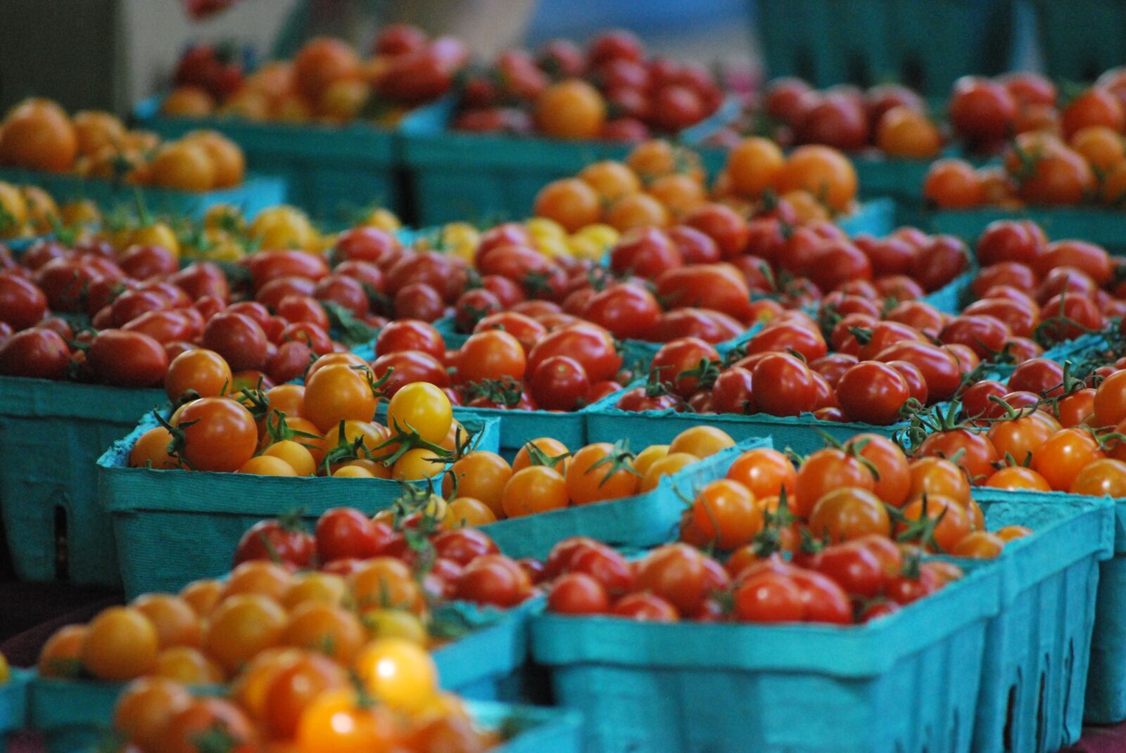 Nikon D60 sample photo. Cherry tomatoes, farmer market photography