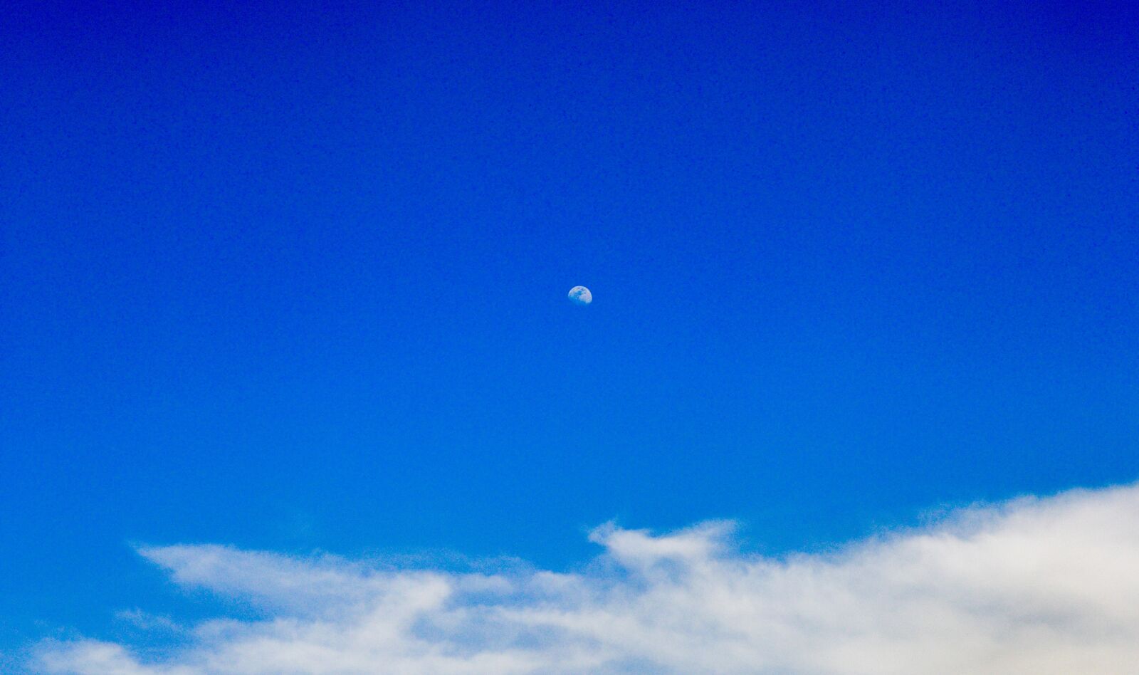 Nikon D3200 sample photo. Alone, blue, blue, sky photography