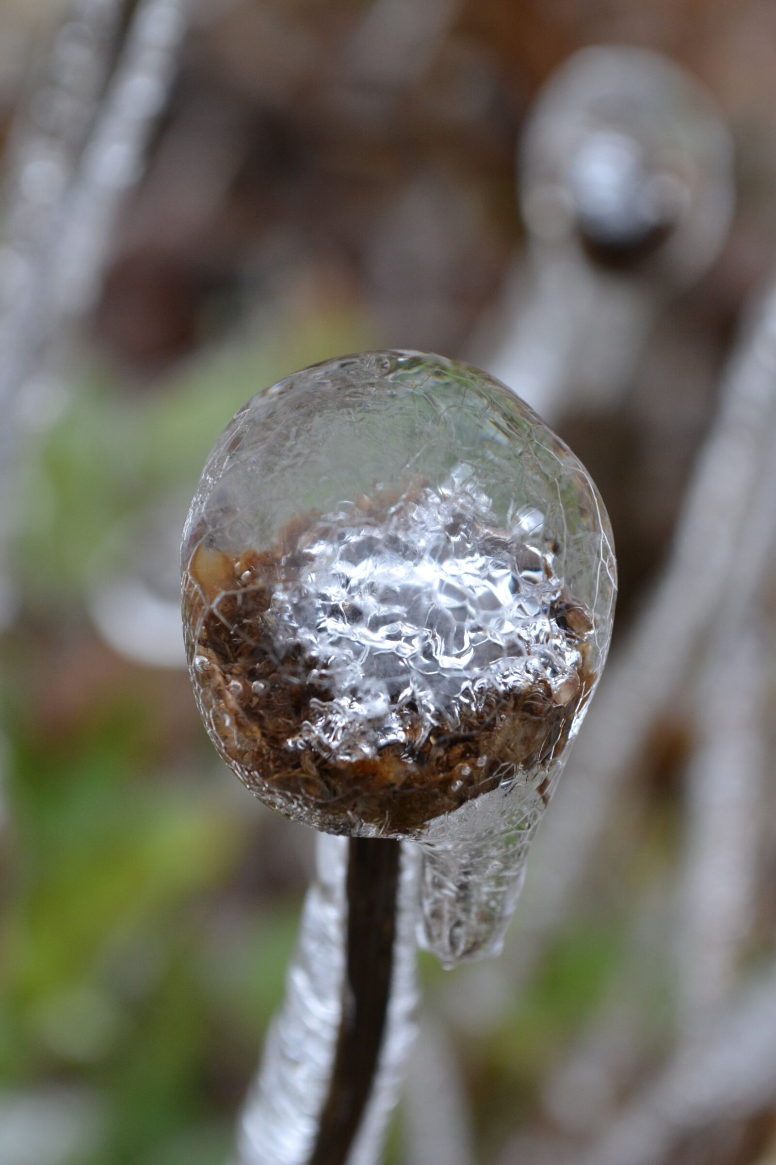 Nikon D3100 sample photo. Ice, winter, nature photography