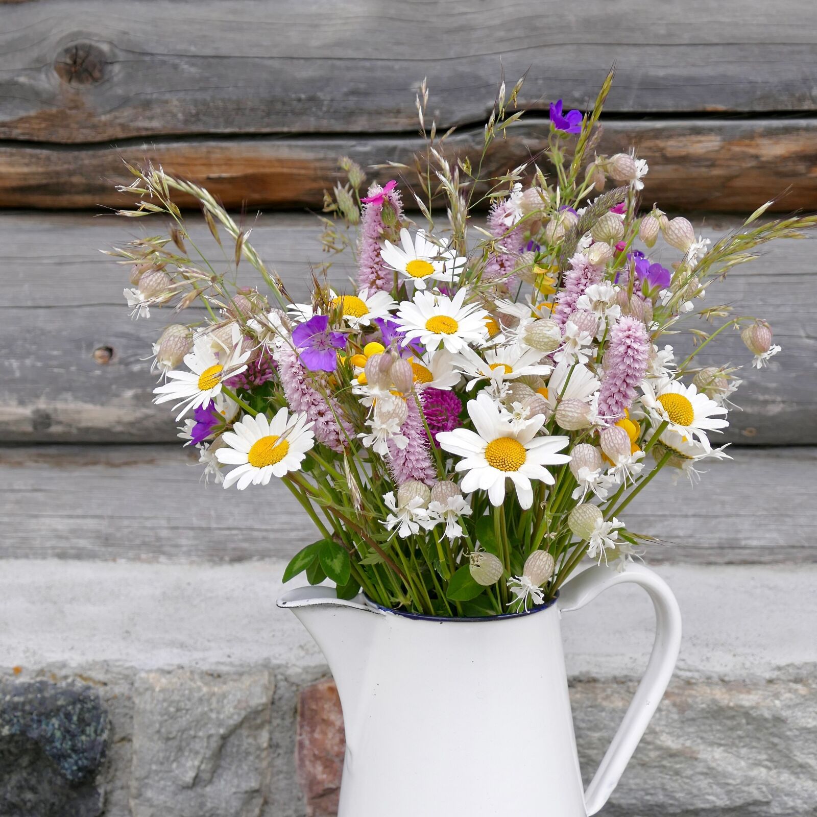 Panasonic Lumix DMC-FZ1000 sample photo. Meadow, daisies, strauss photography