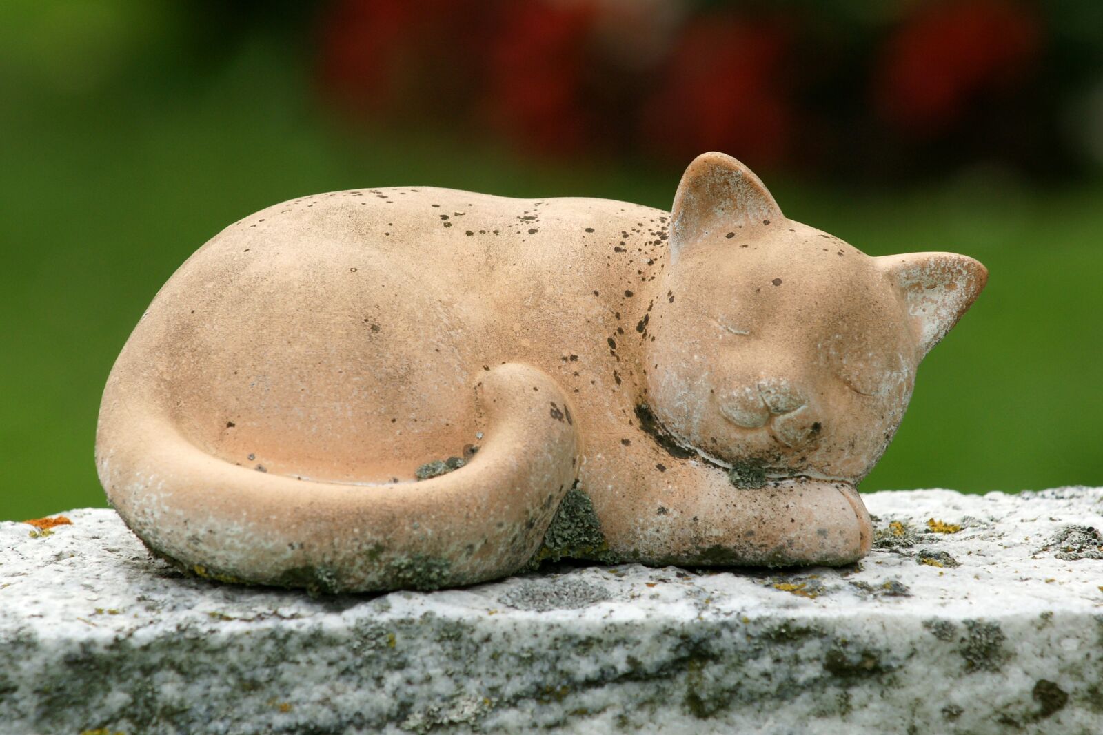Sony Alpha DSLR-A700 sample photo. Cat, lying cat, stone photography