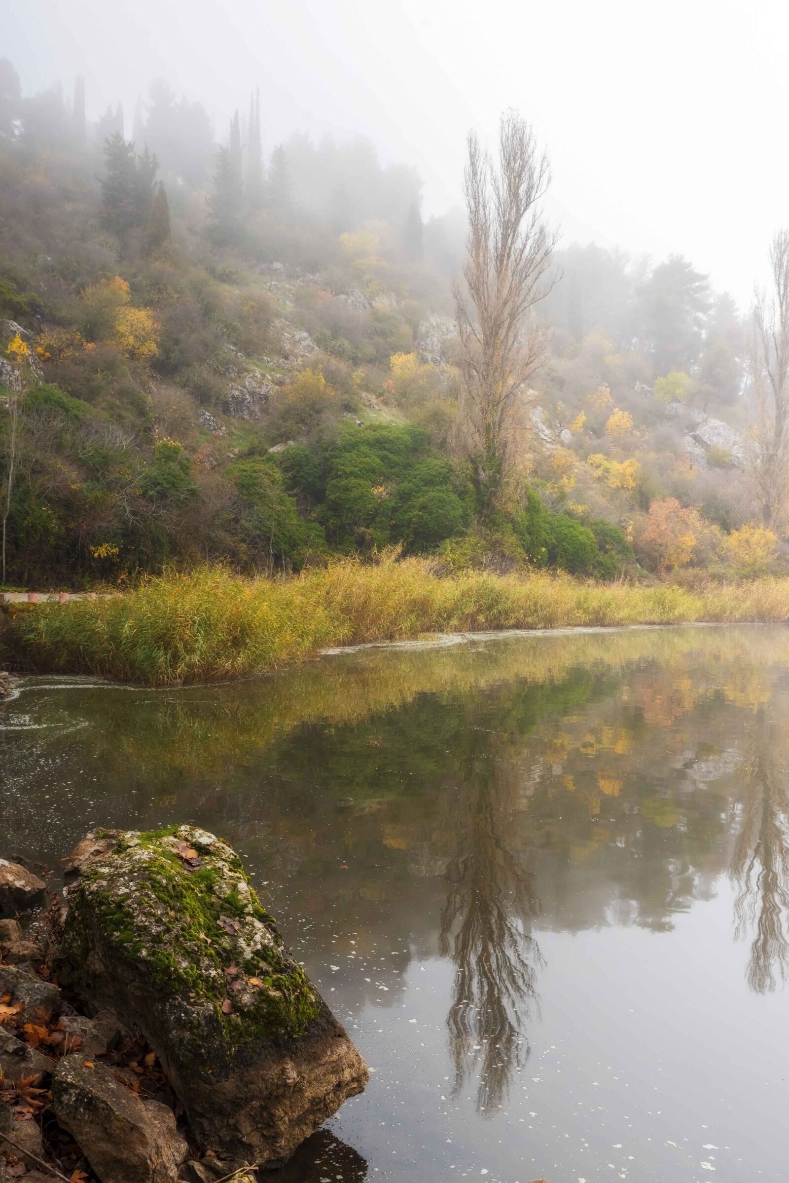 Tamron SP 24-70mm F2.8 Di VC USD sample photo. Lake, trees, haze photography