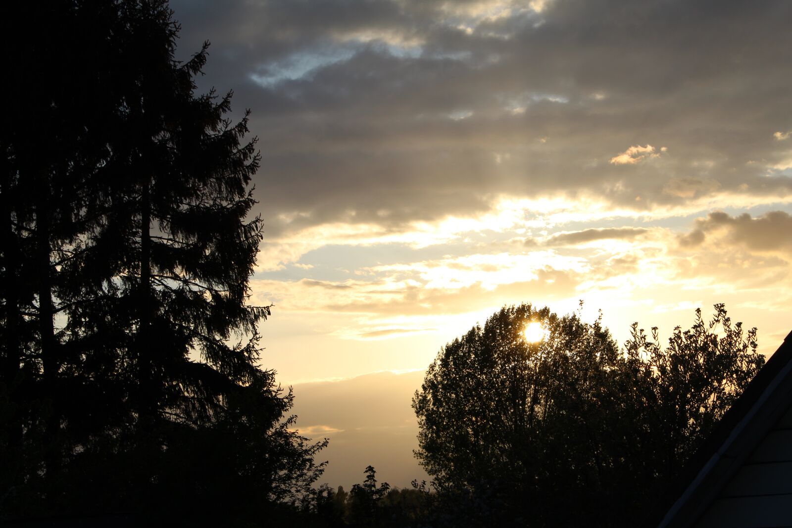 Canon EOS 1300D (EOS Rebel T6 / EOS Kiss X80) sample photo. Nature, sunset, tree photography