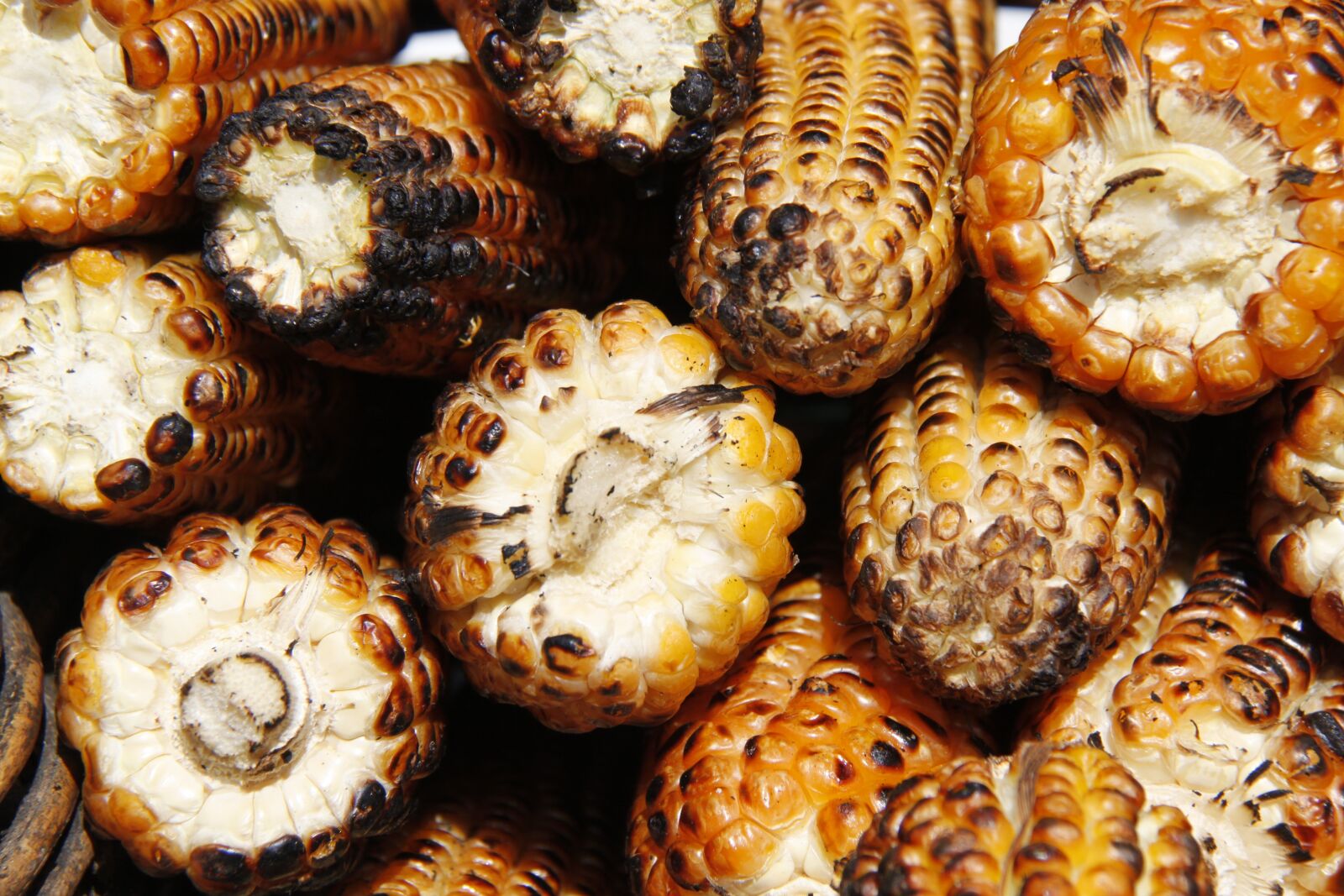 Canon EOS 500D (EOS Rebel T1i / EOS Kiss X3) sample photo. Corn, food, yellow photography