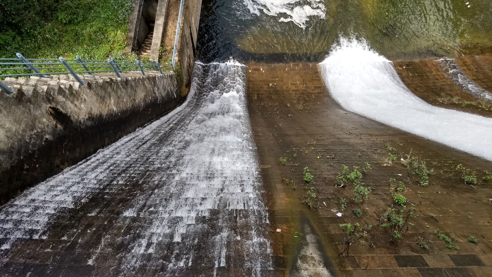 Motorola Moto G (5) Plus sample photo. Mattupetty dam, munnar, kerala photography
